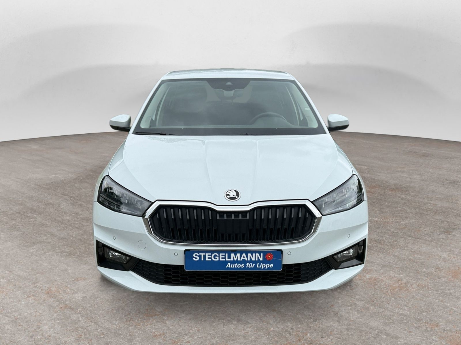 Škoda - Fabia_9