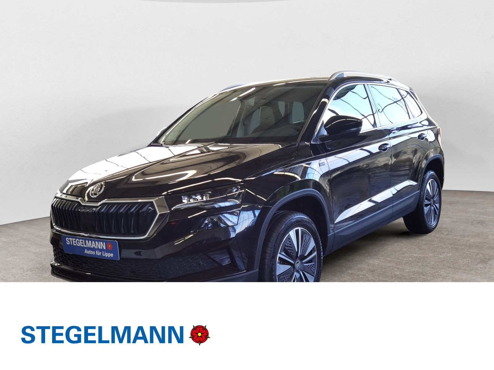 diagonal-frontansicht-aussen