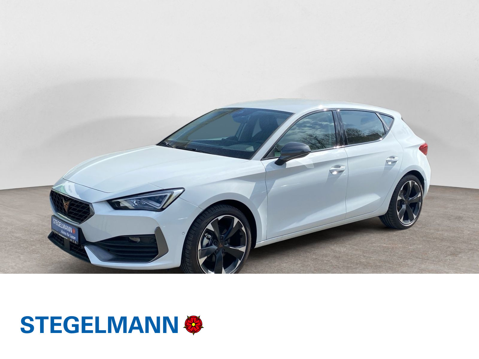 diagonal-frontansicht-aussen