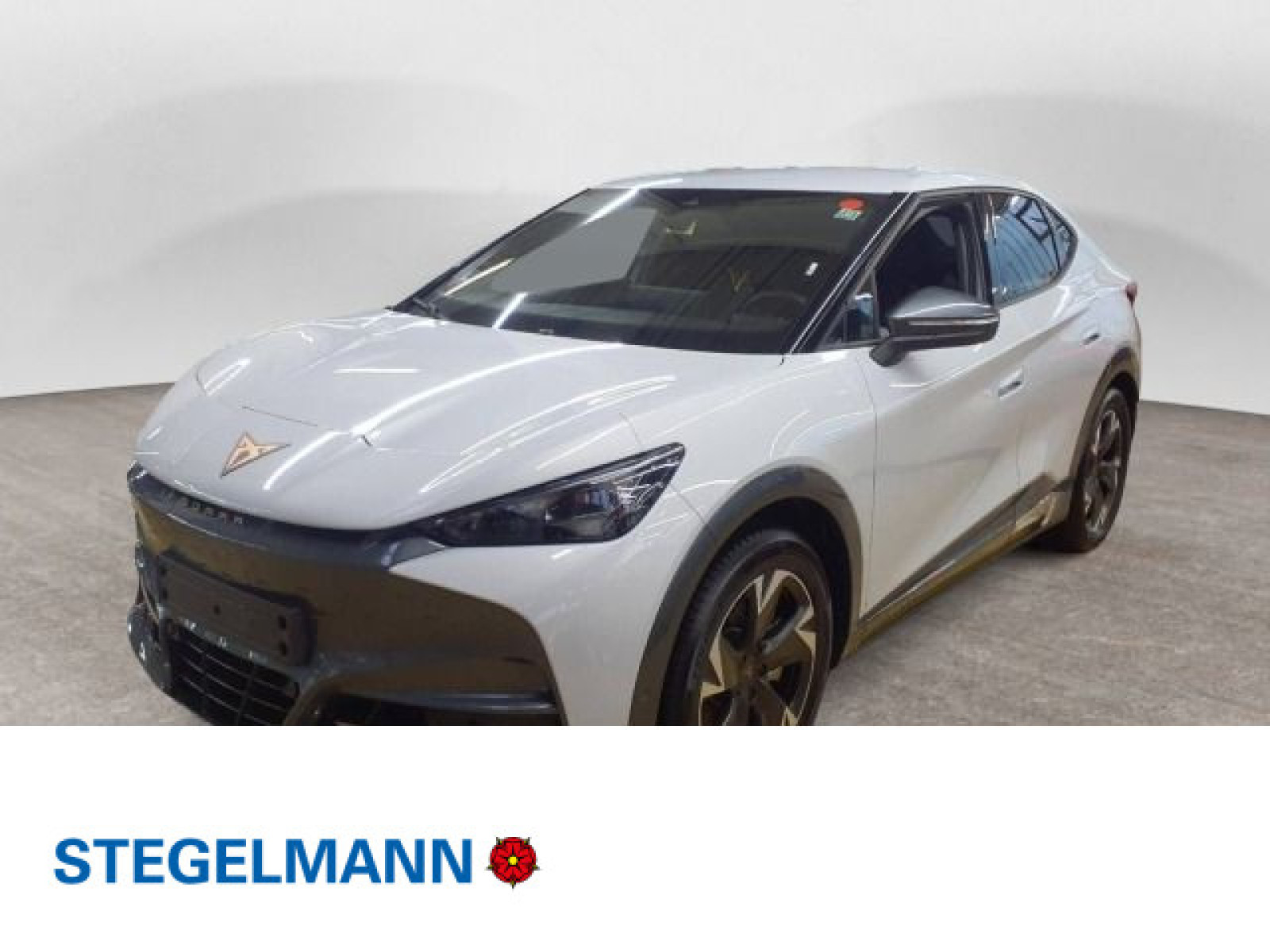 diagonal-frontansicht-aussen