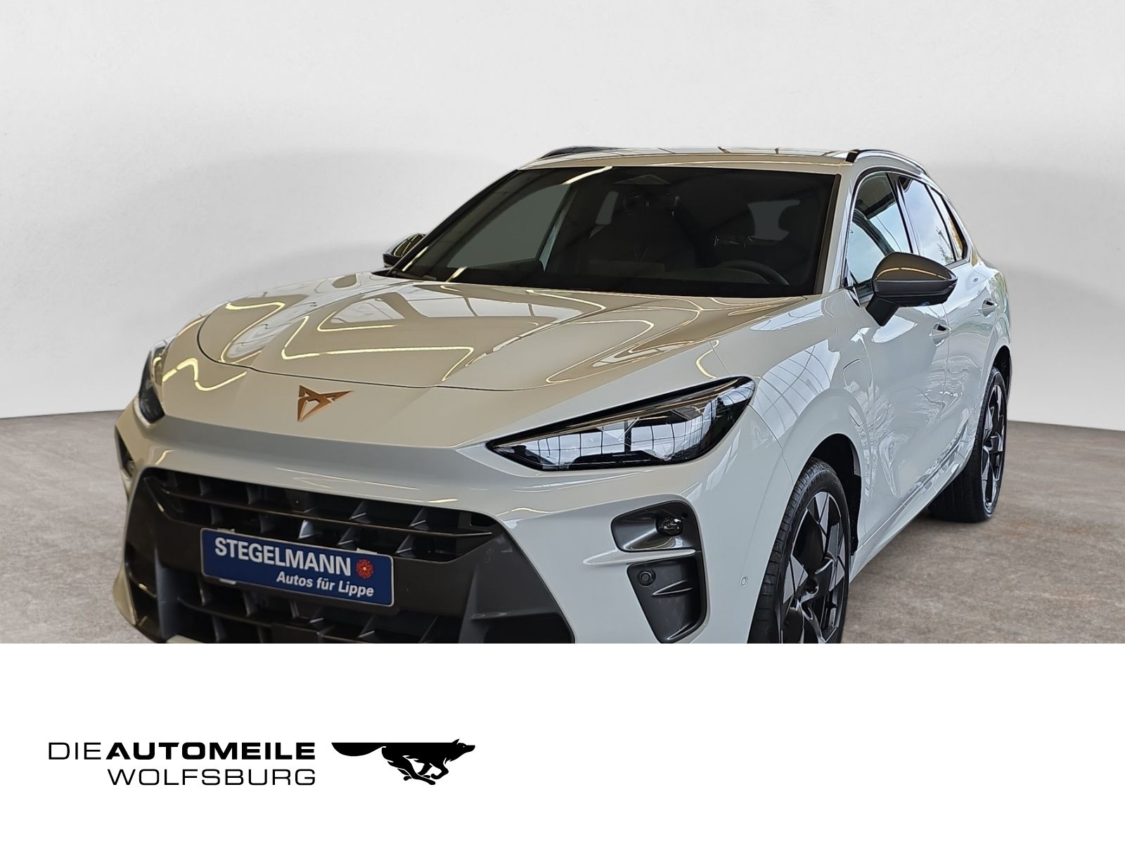 diagonal-frontansicht-aussen