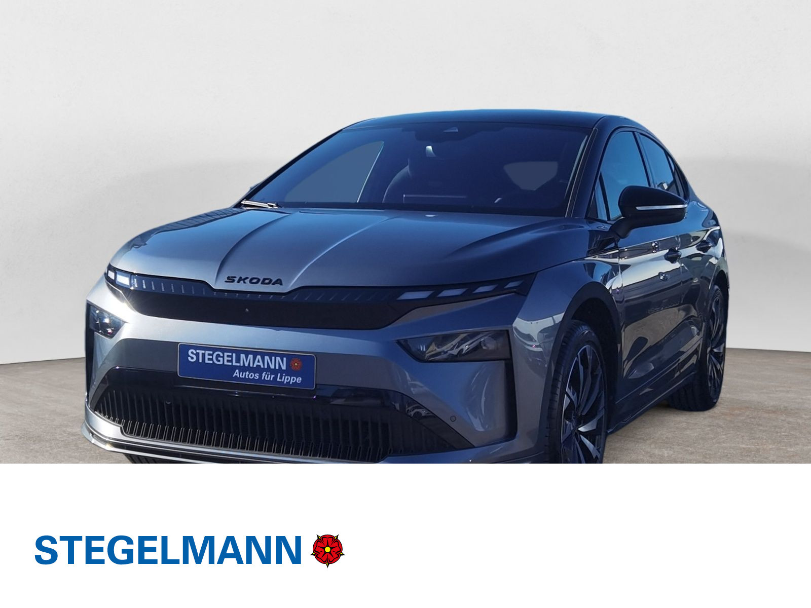 diagonal-frontansicht-aussen