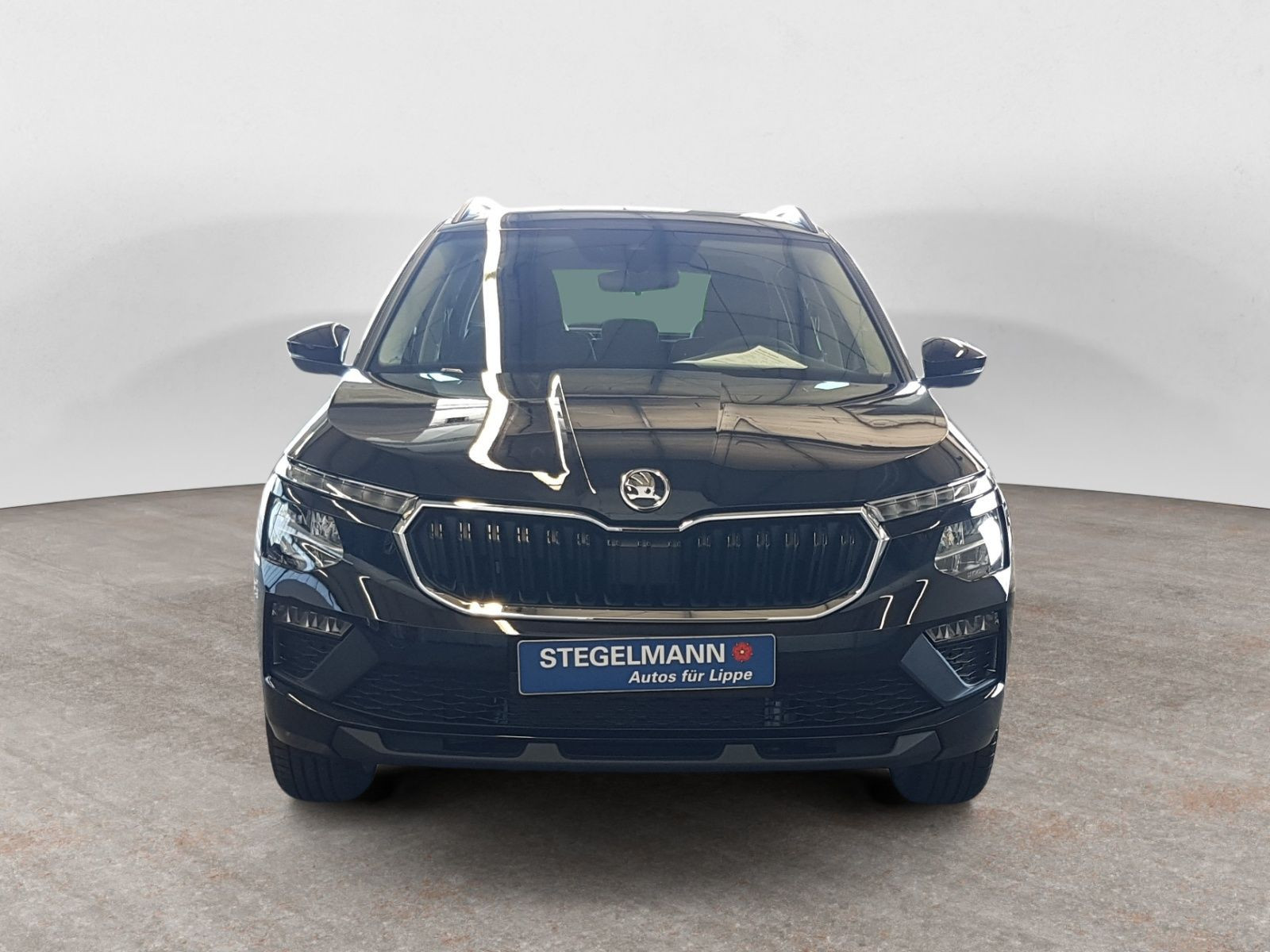 Škoda - Kamiq_9