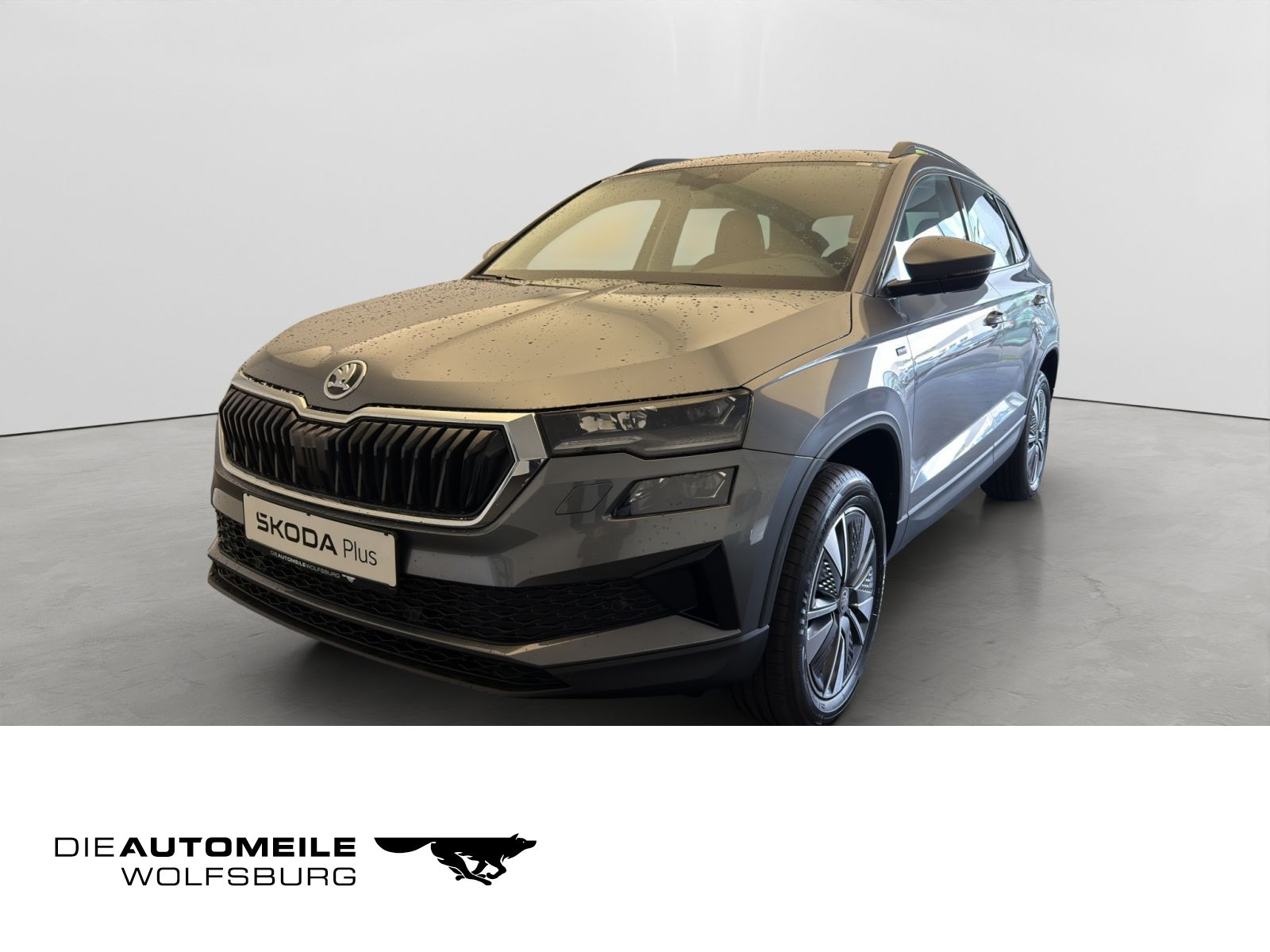 Škoda - Karoq_2