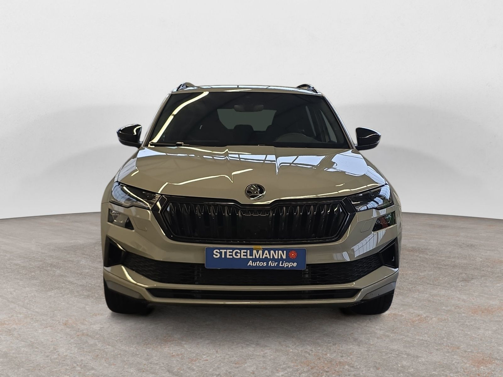 Škoda - Karoq_9
