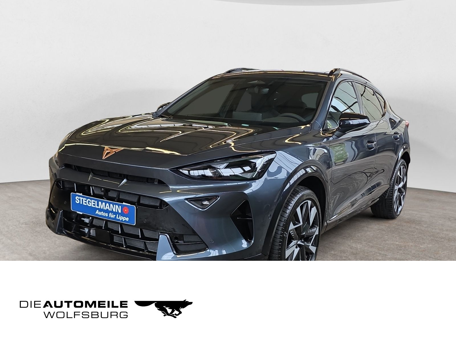 diagonal-frontansicht-aussen