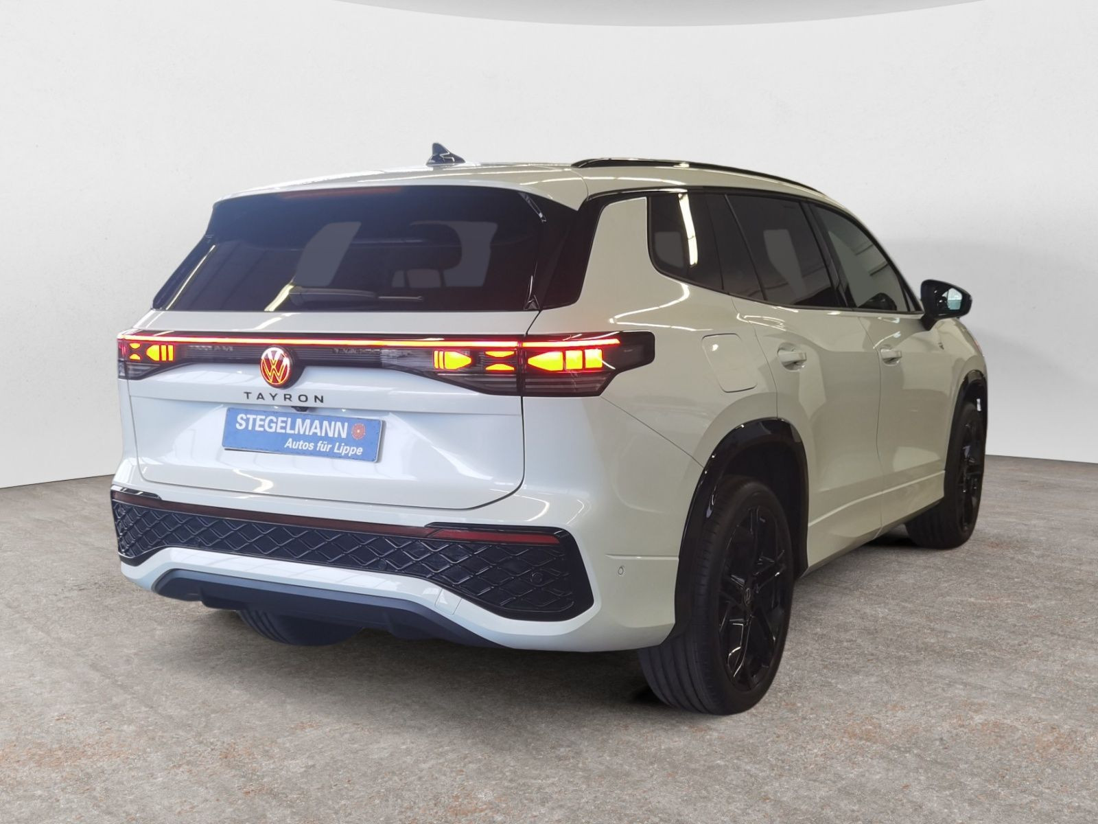 diagonalansicht-hinten-aussen