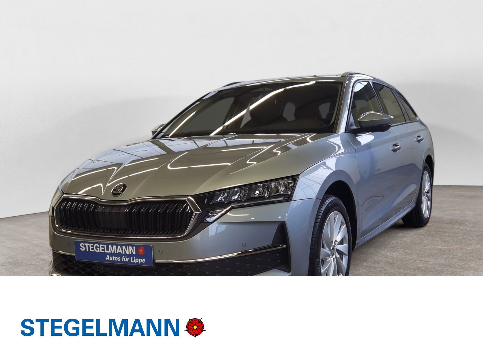 diagonal-frontansicht-aussen