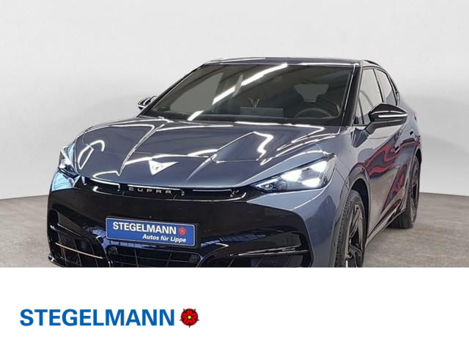 diagonal-frontansicht-aussen