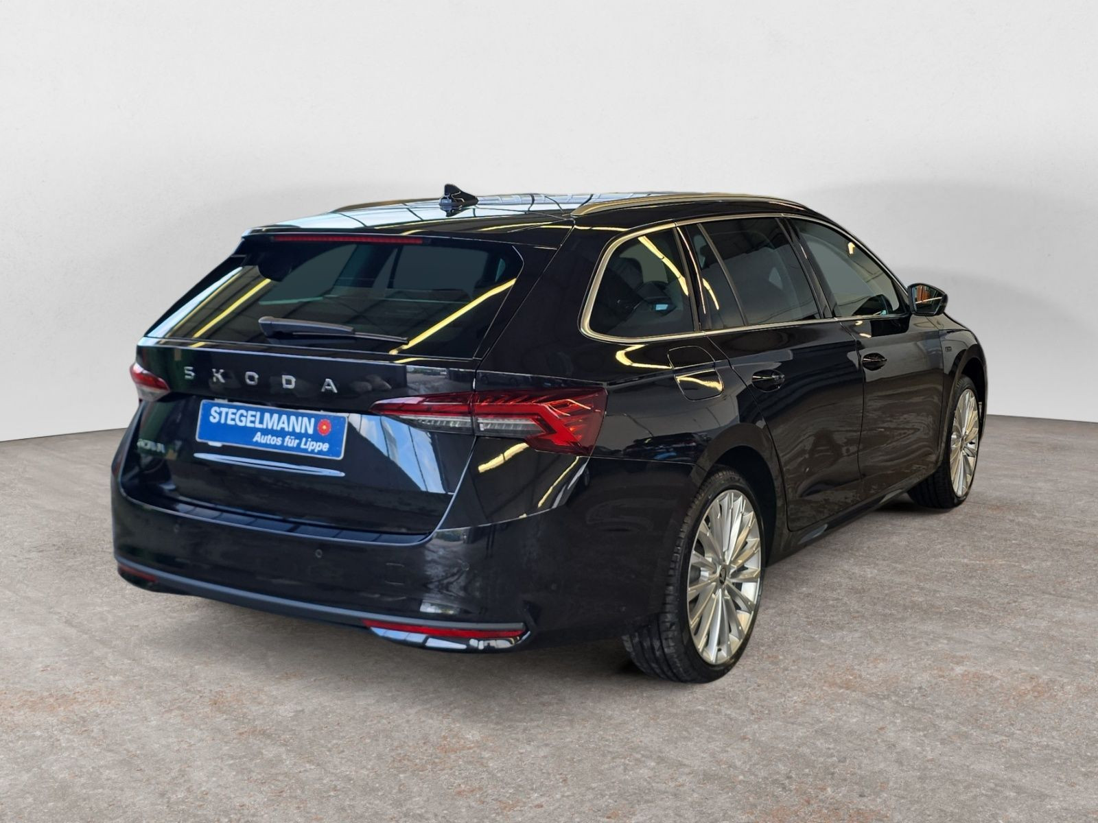 diagonalansicht-hinten-aussen