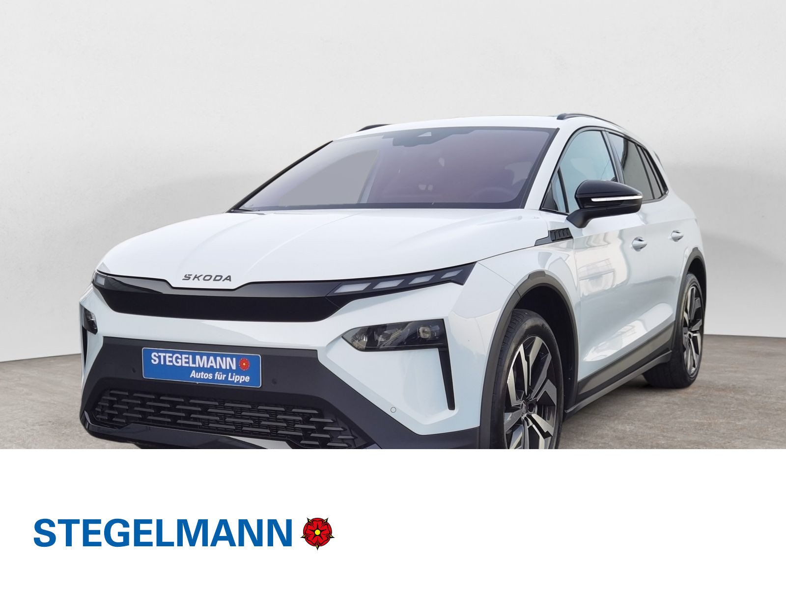 diagonal-frontansicht-aussen