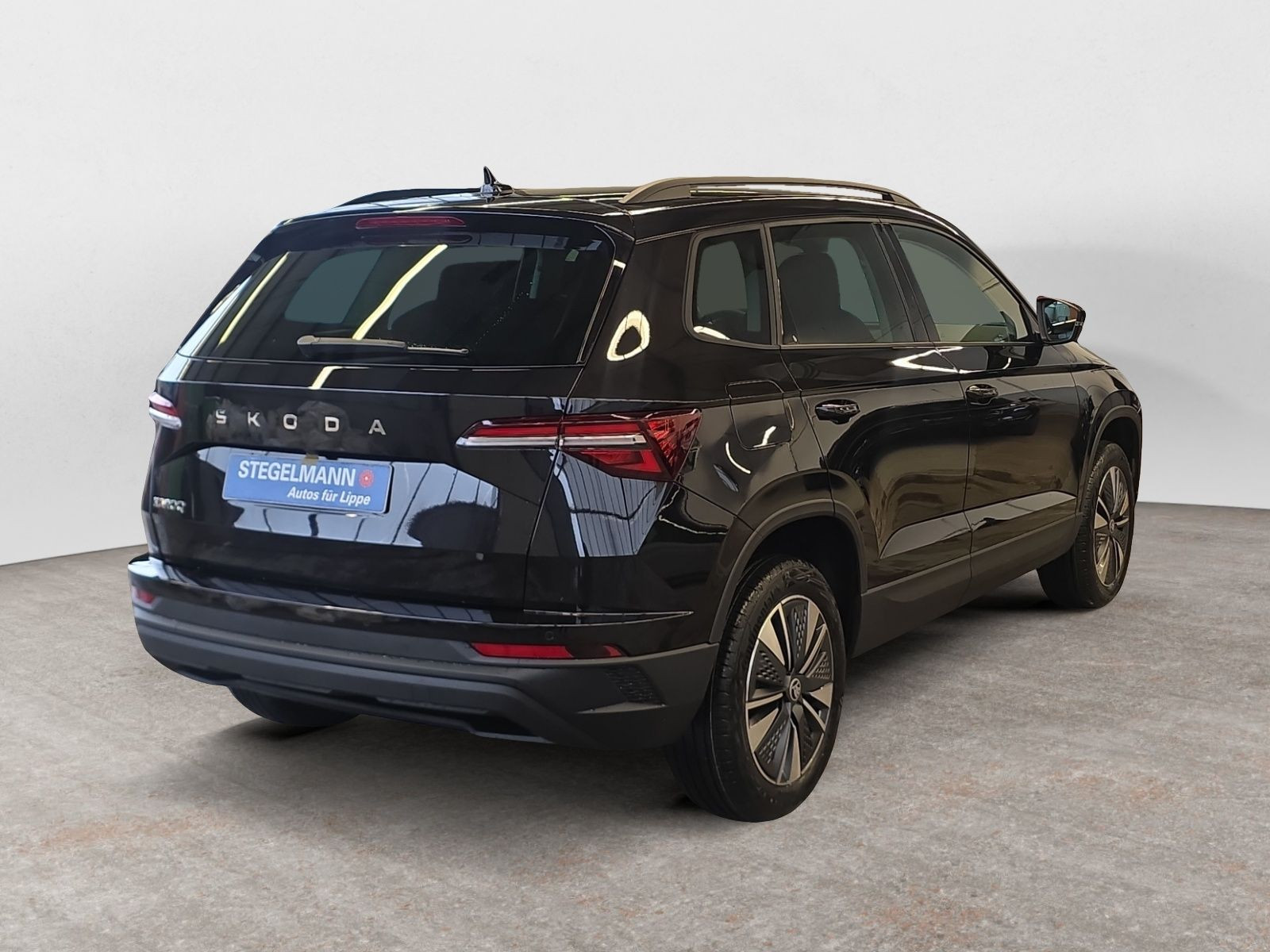 diagonalansicht-hinten-aussen