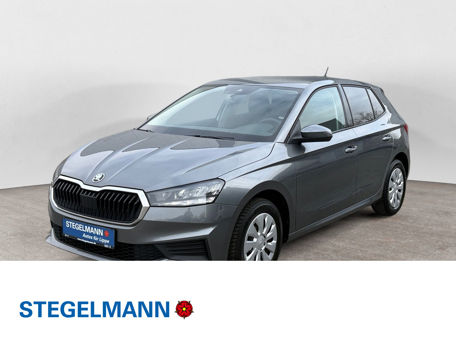 diagonal-frontansicht-aussen