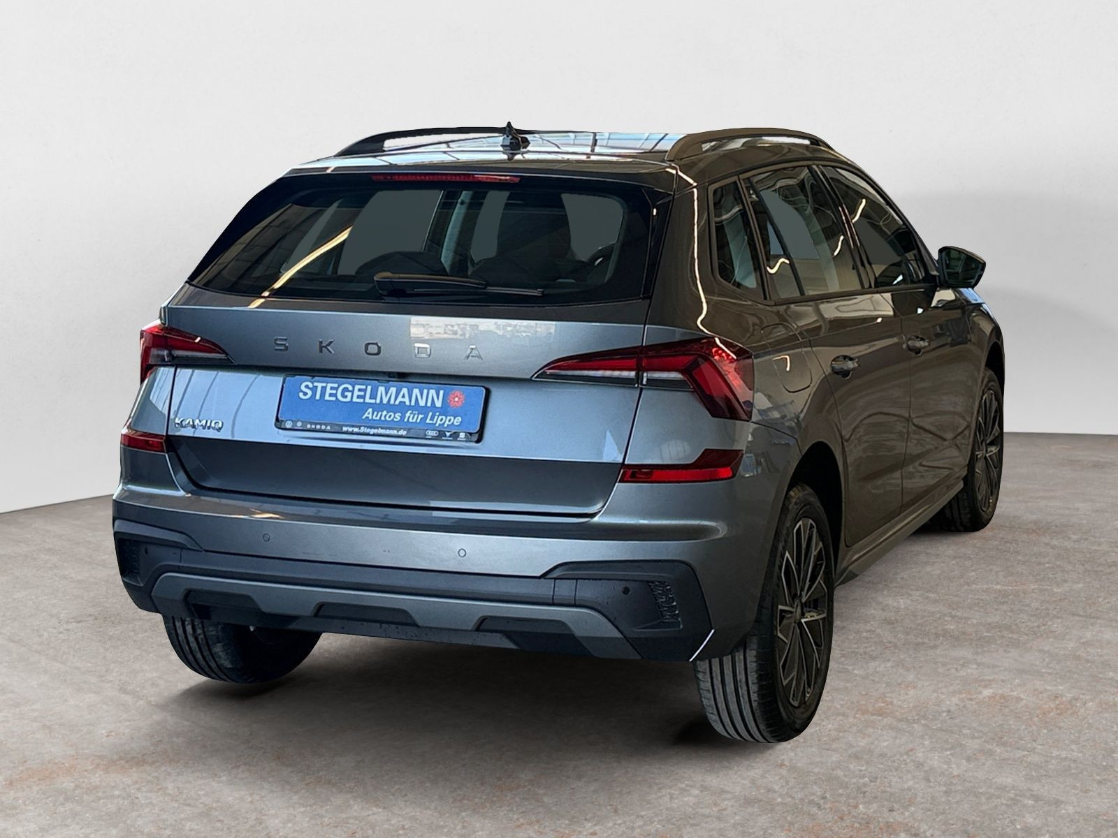 diagonalansicht-hinten-aussen