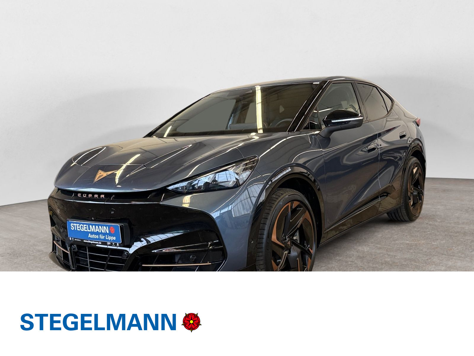 diagonal-frontansicht-aussen