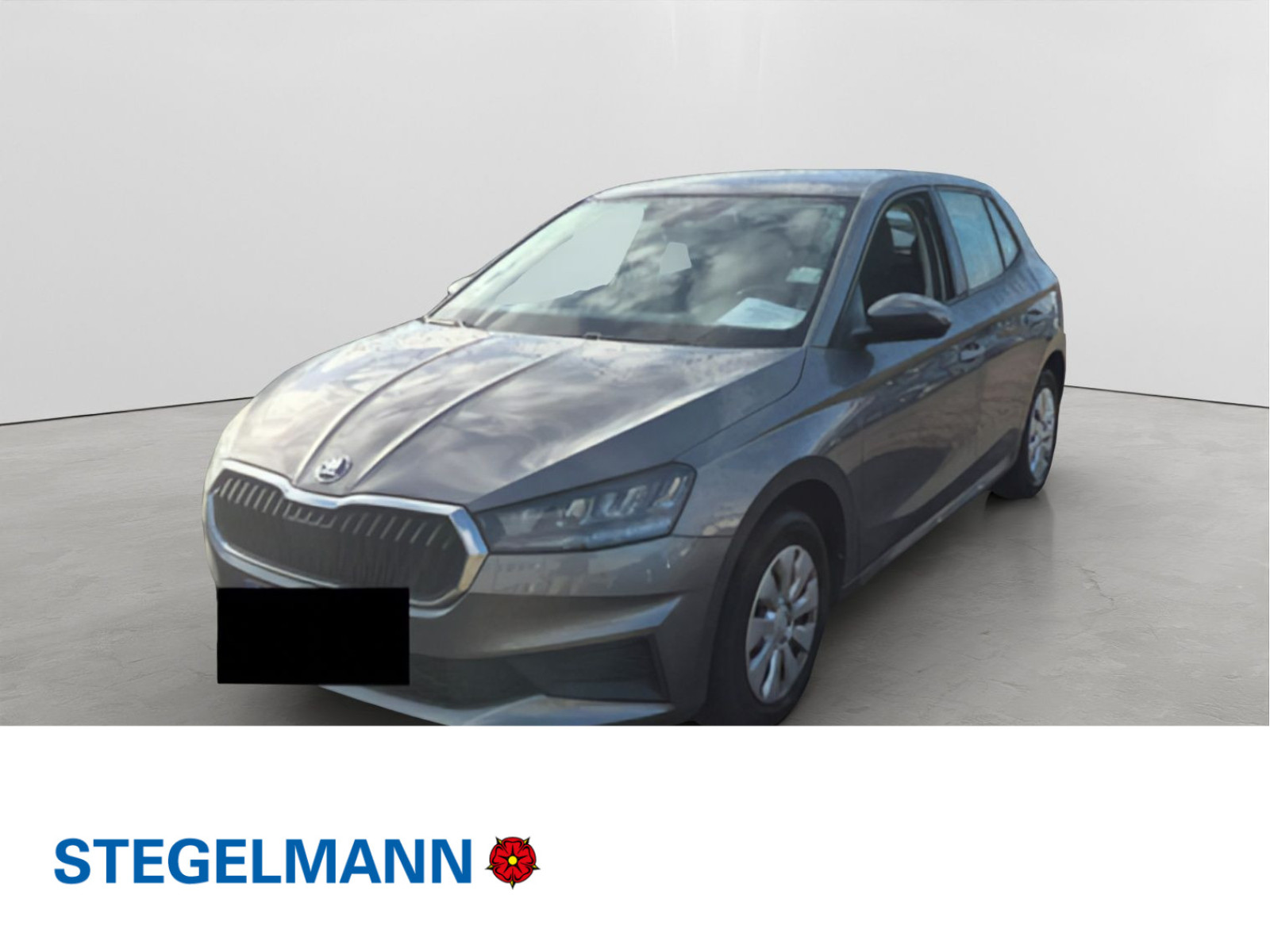 Fahrzeugbild_1