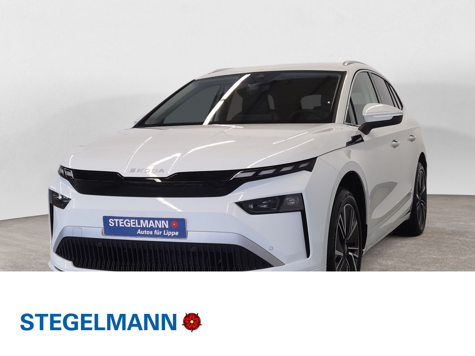 diagonal-frontansicht-aussen