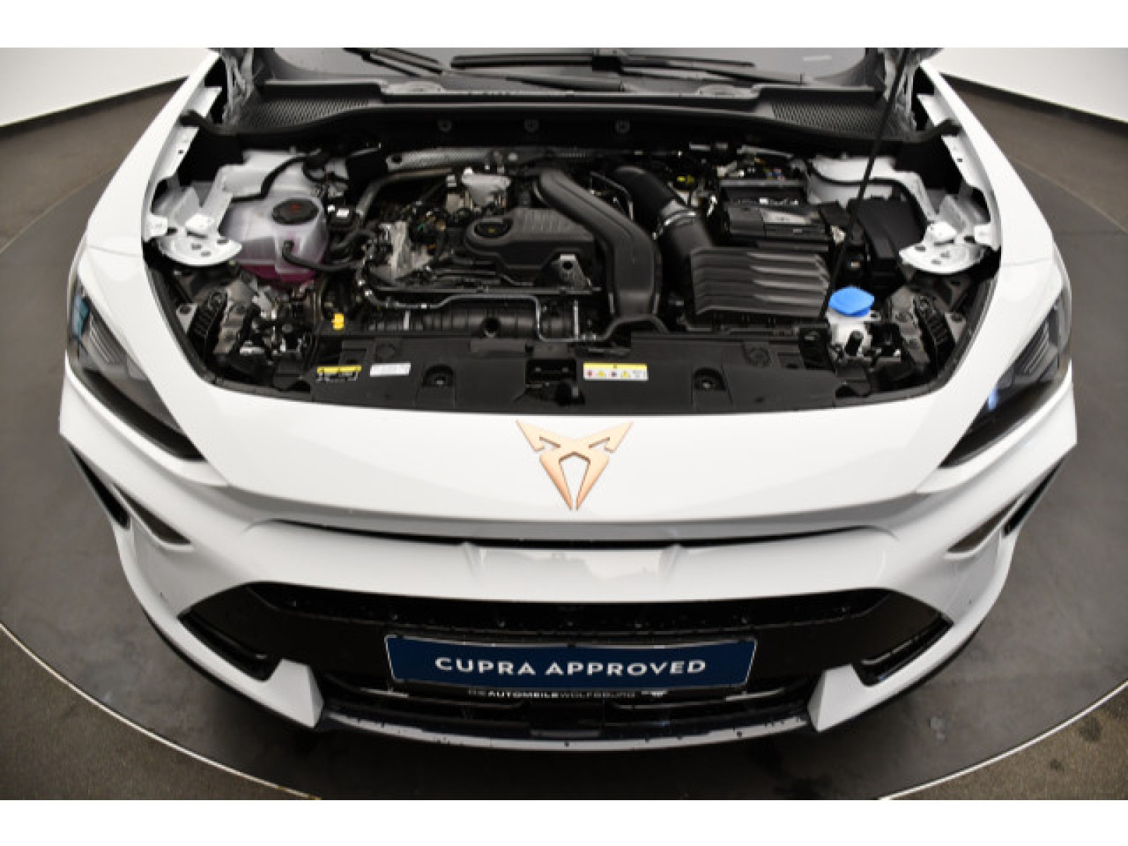 motor-aussen