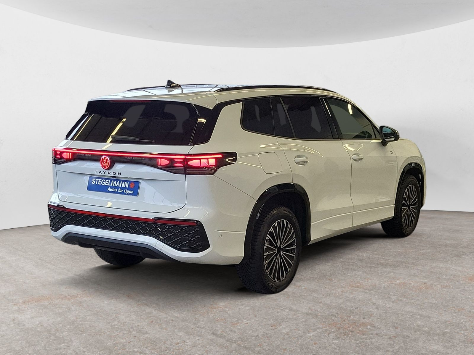 diagonalansicht-hinten-aussen