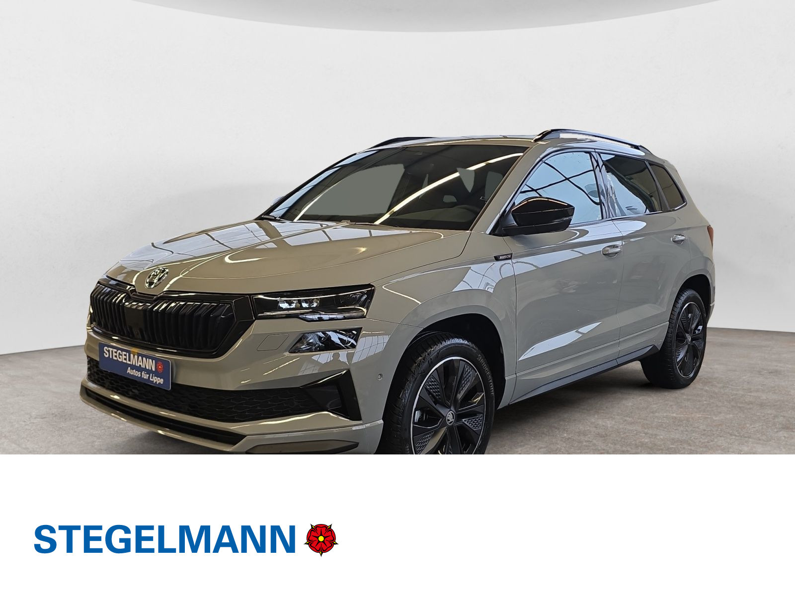 Škoda - Karoq_1