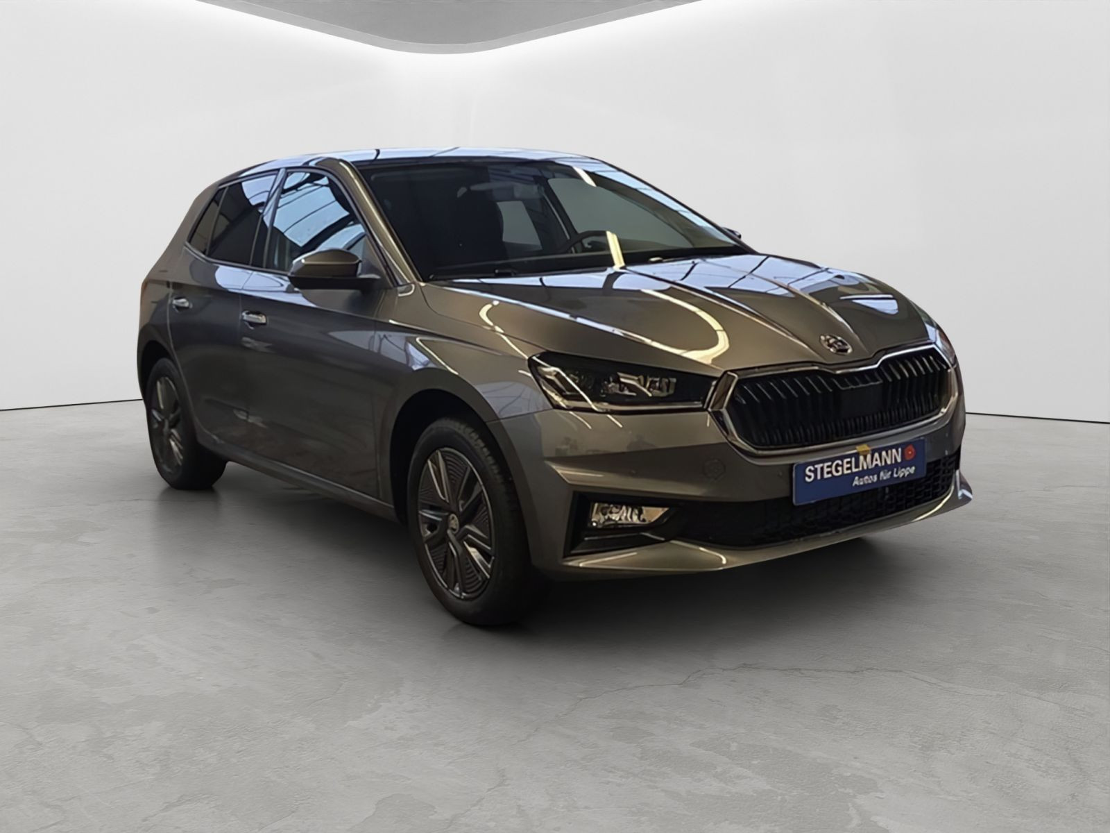 Škoda - Fabia_8
