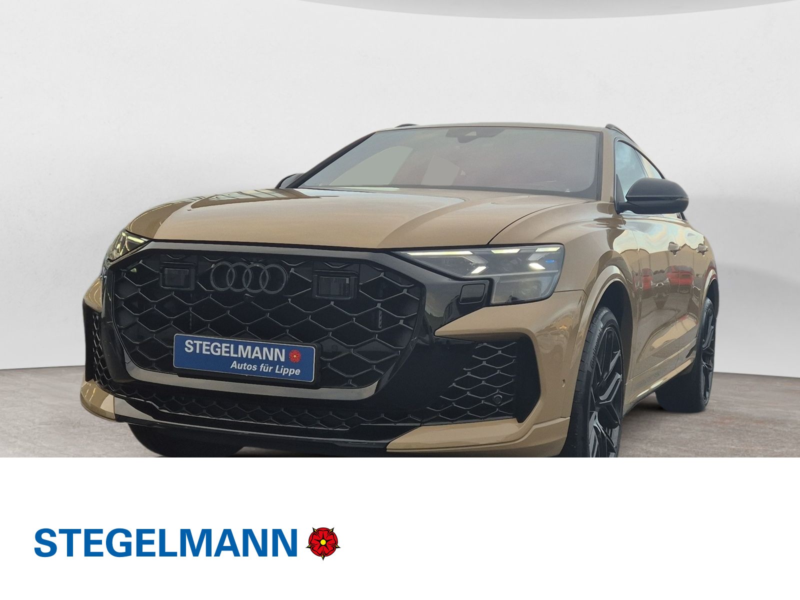 RS Q8 SUV performance tiptronic LASERLICHT AHK PANO B&O 305KM/H