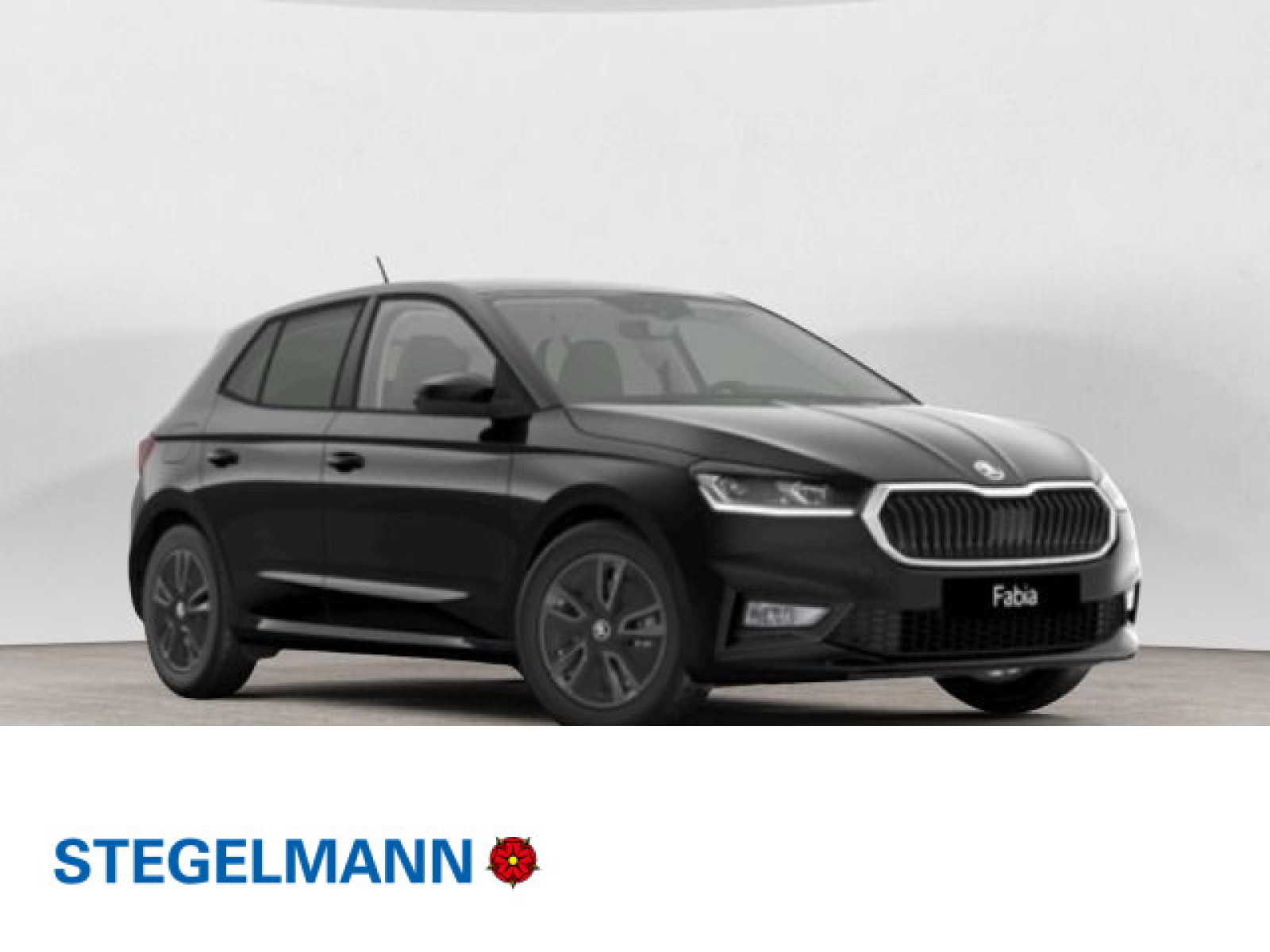 diagonal-frontansicht-aussen