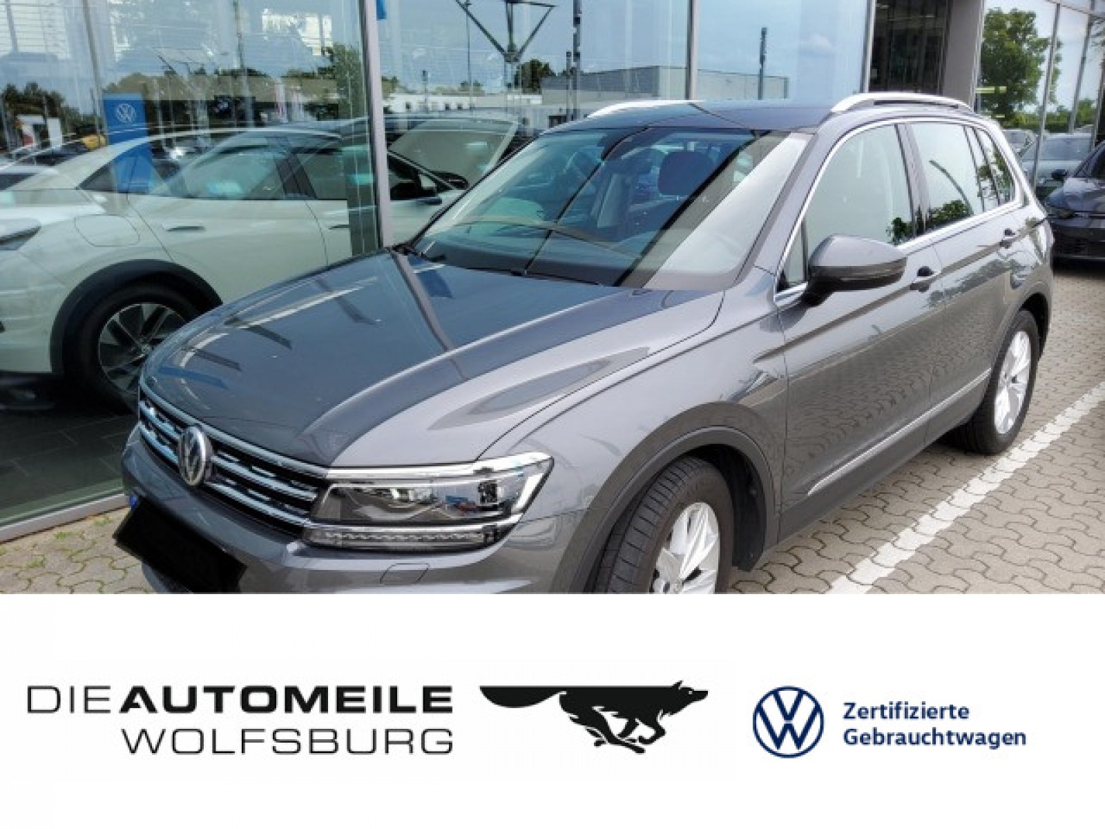 Tiguan 1.5 TSI DSG Highline Standhzg/ACC/AHK