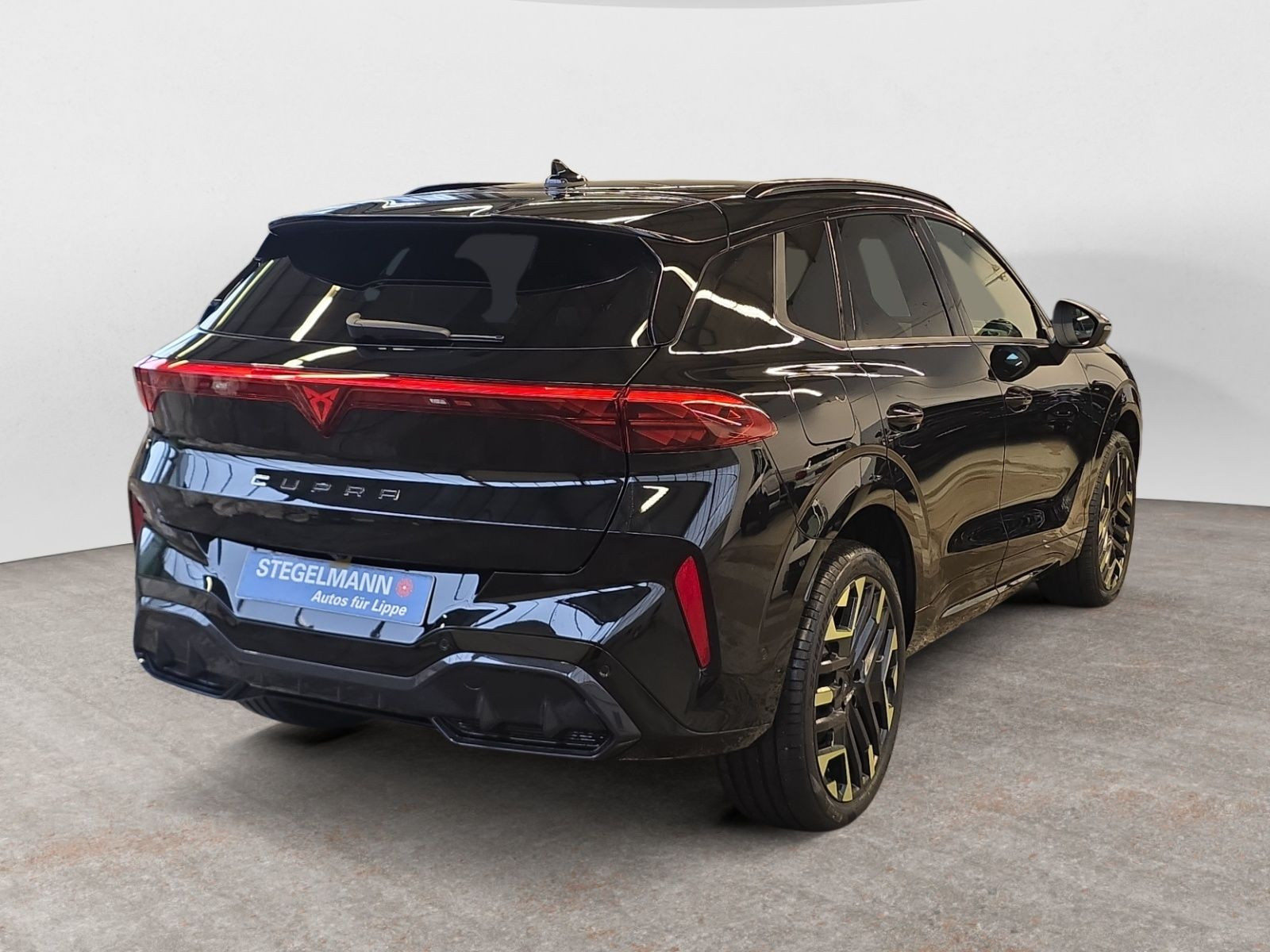 diagonalansicht-hinten-aussen