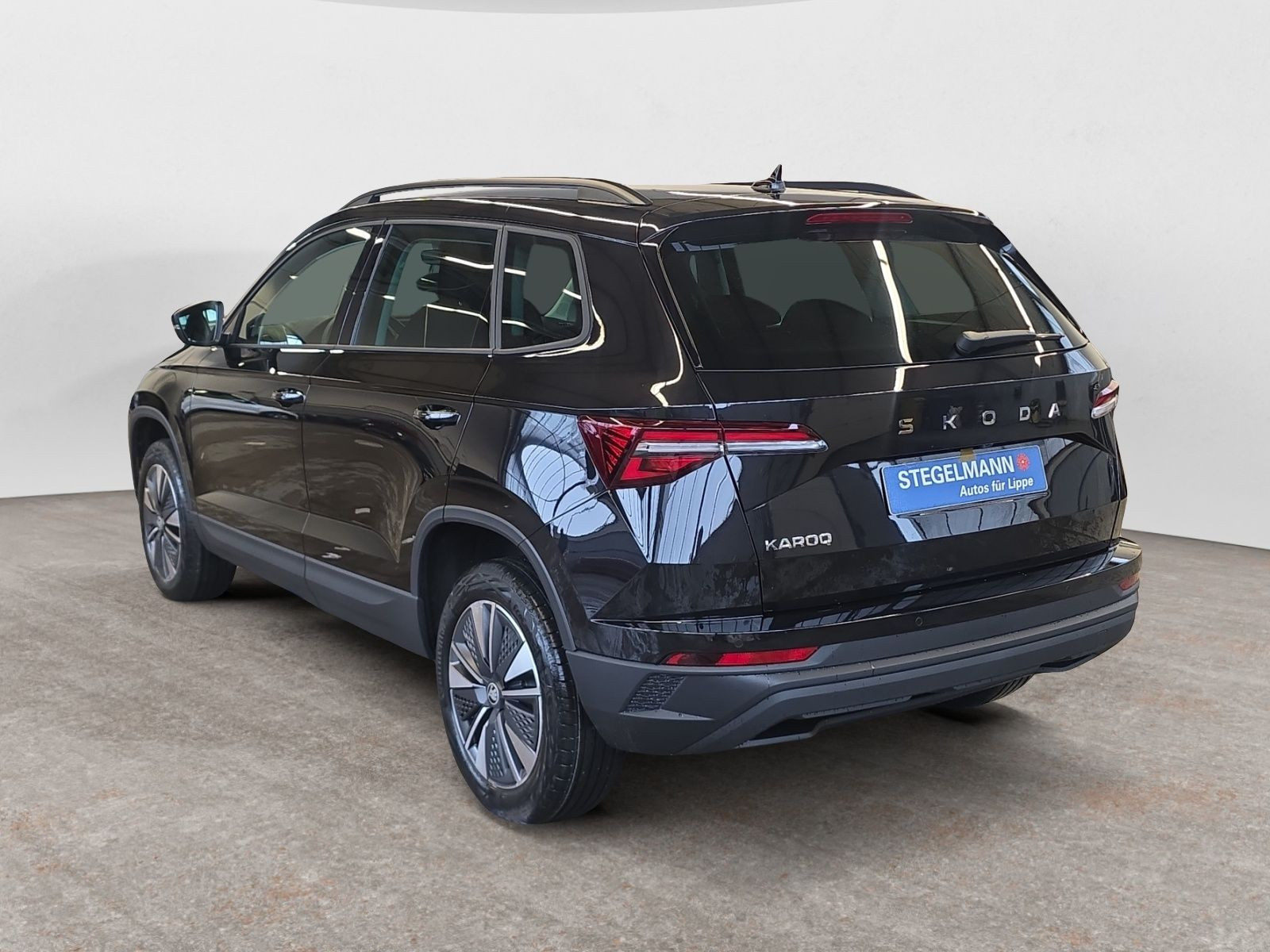 diagonalansicht-hinten-aussen