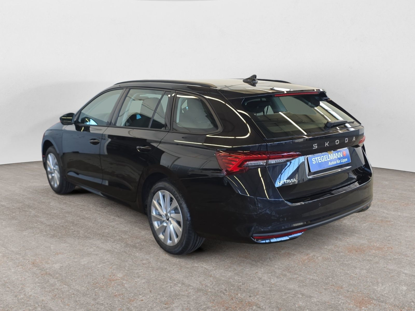 diagonalansicht-hinten-aussen