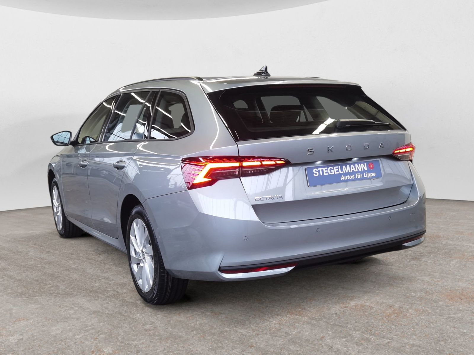 diagonalansicht-hinten-aussen