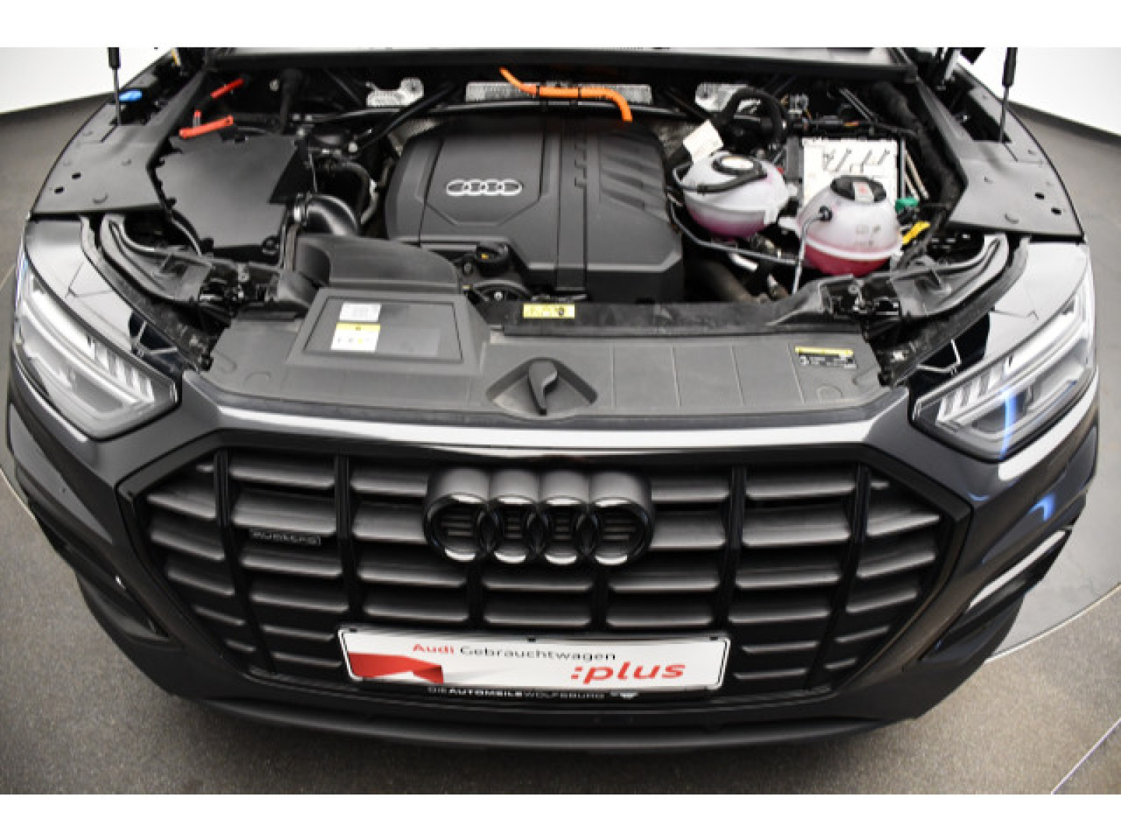 motor-aussen
