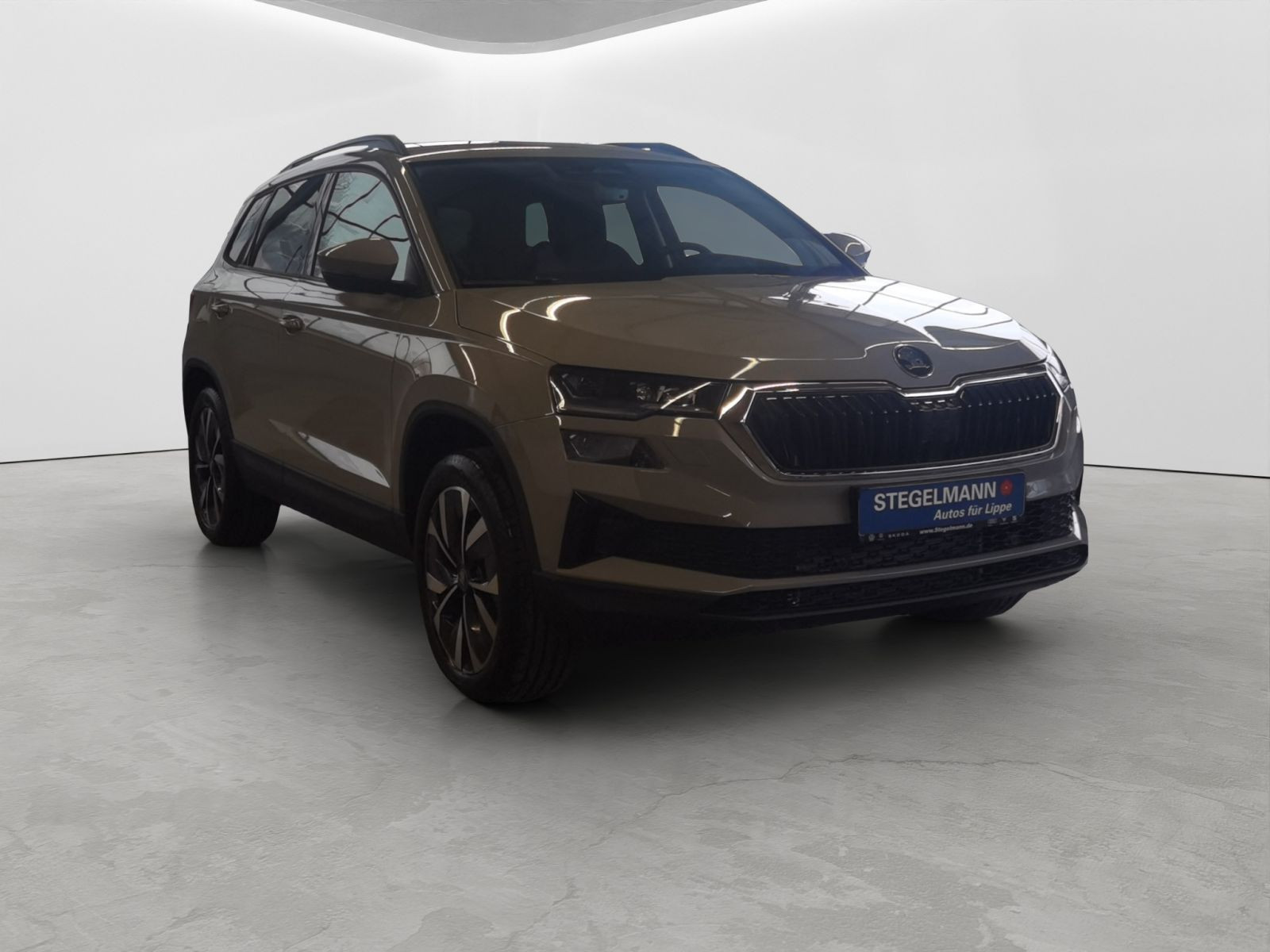 Škoda - Karoq_8