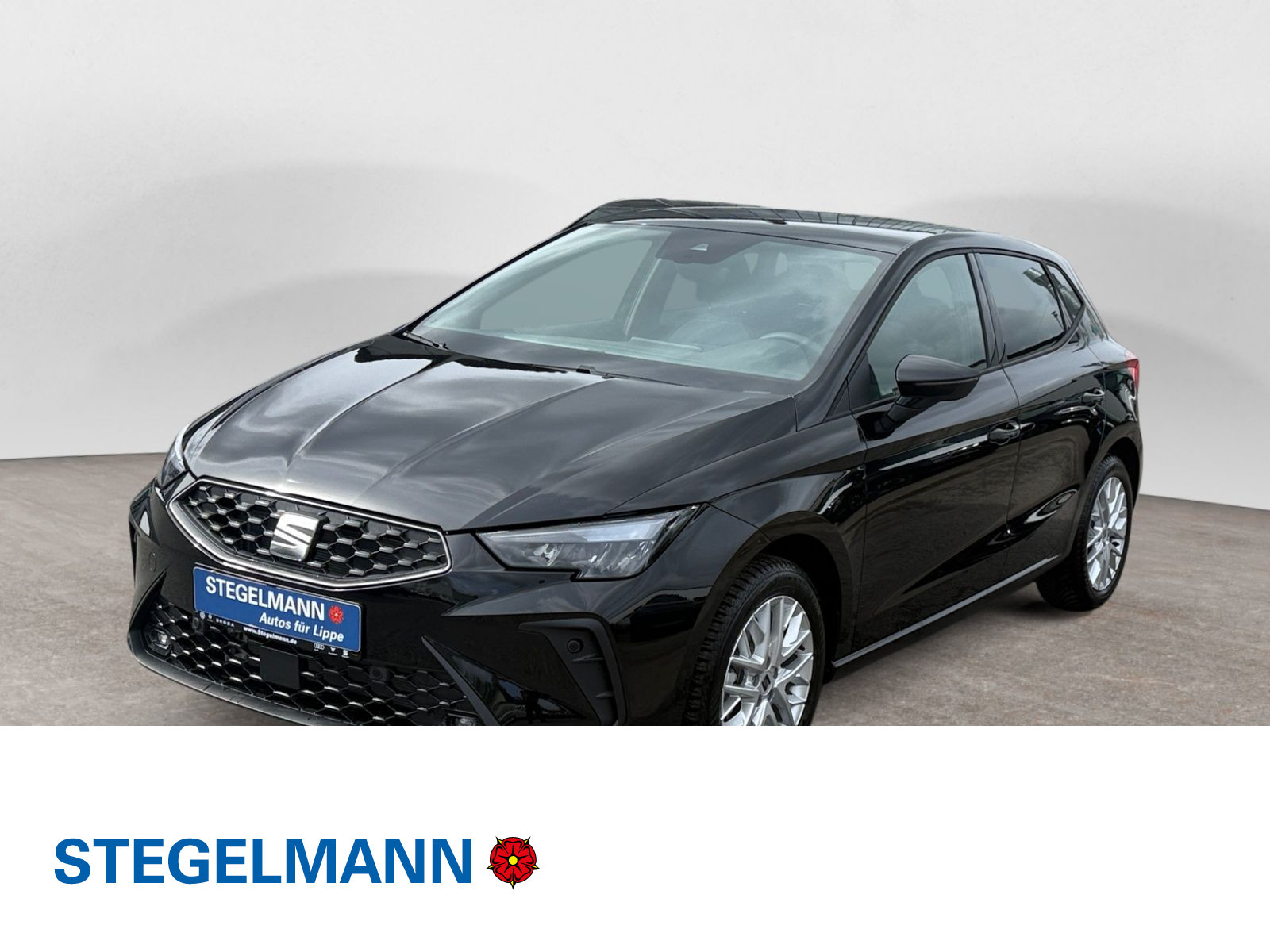 diagonal-frontansicht-aussen