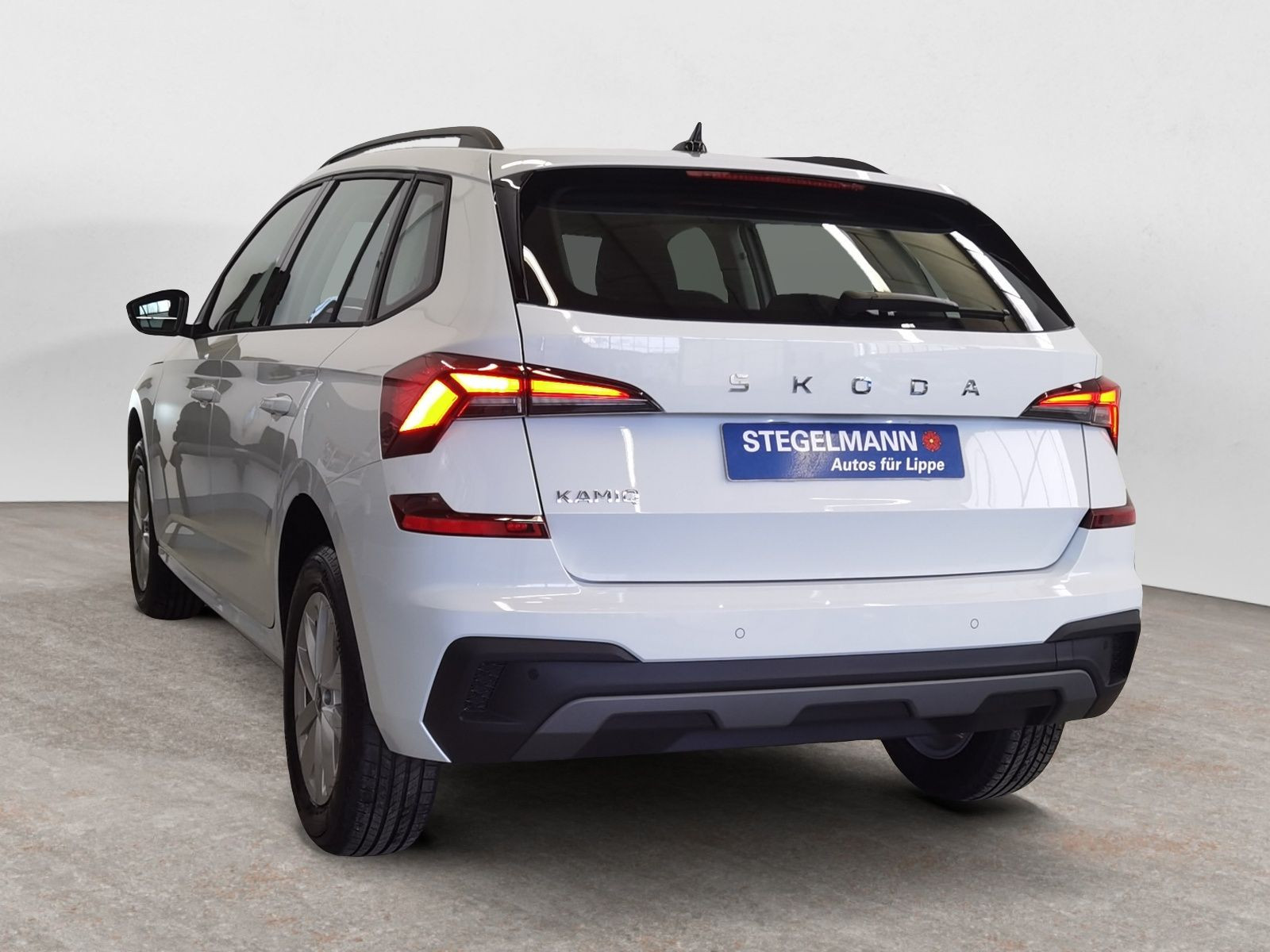 diagonalansicht-hinten-aussen