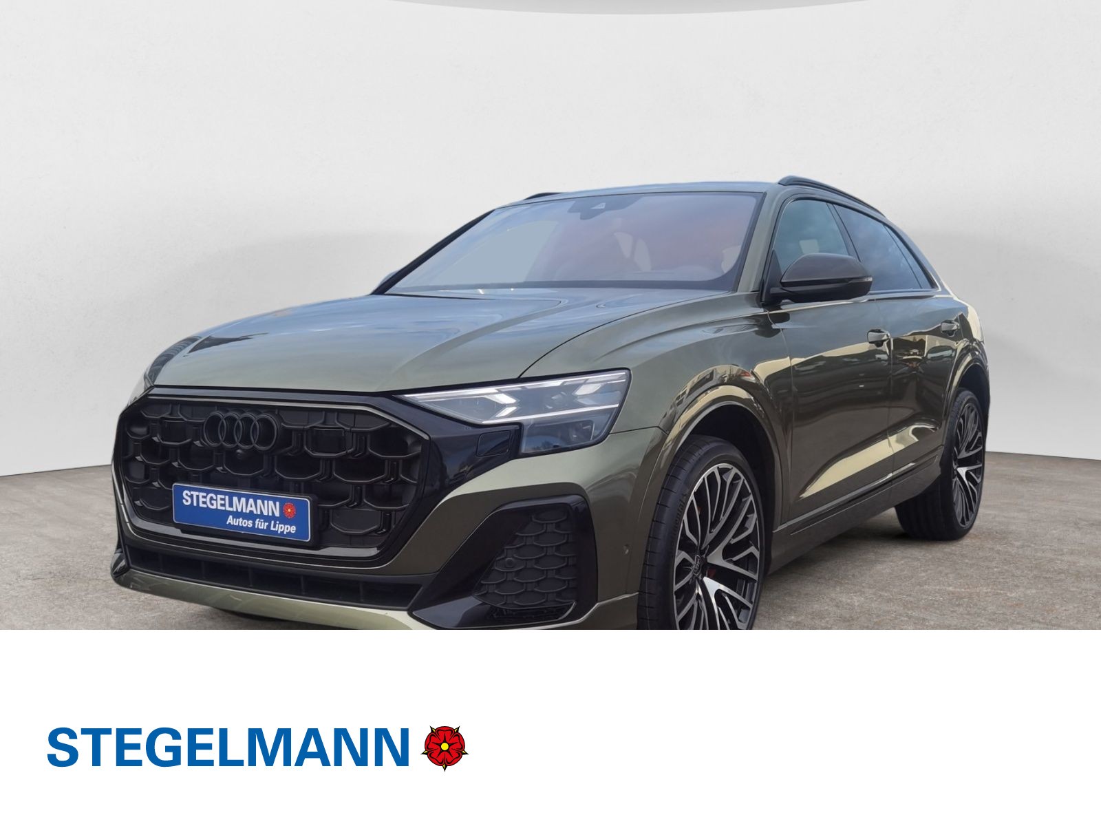 Q8 SUV 50 TDI quattro tiptronic INDIVIDUAL OAK LASERLICHT OLED HEAD-UP AHK B&O