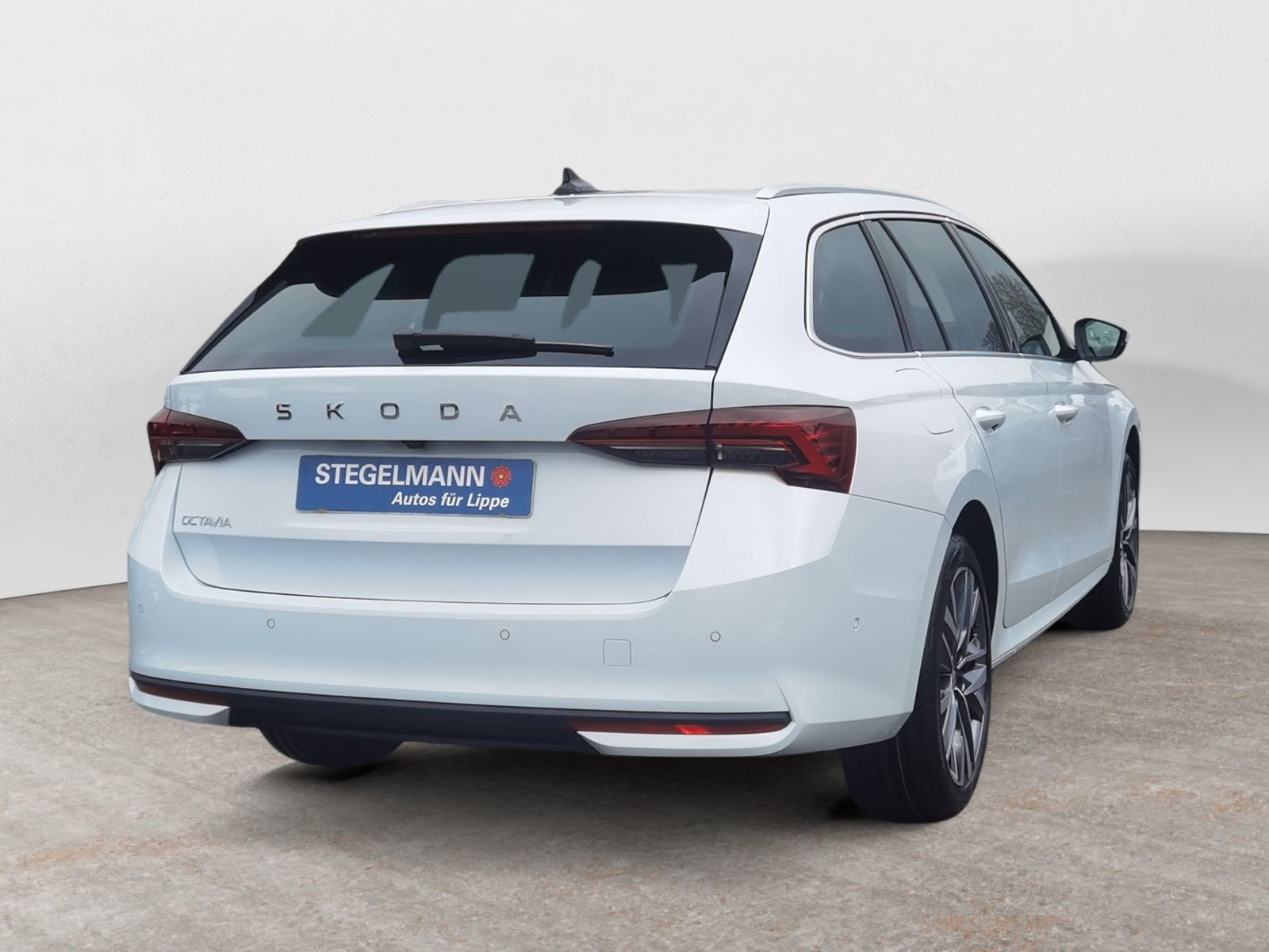 diagonalansicht-hinten-aussen