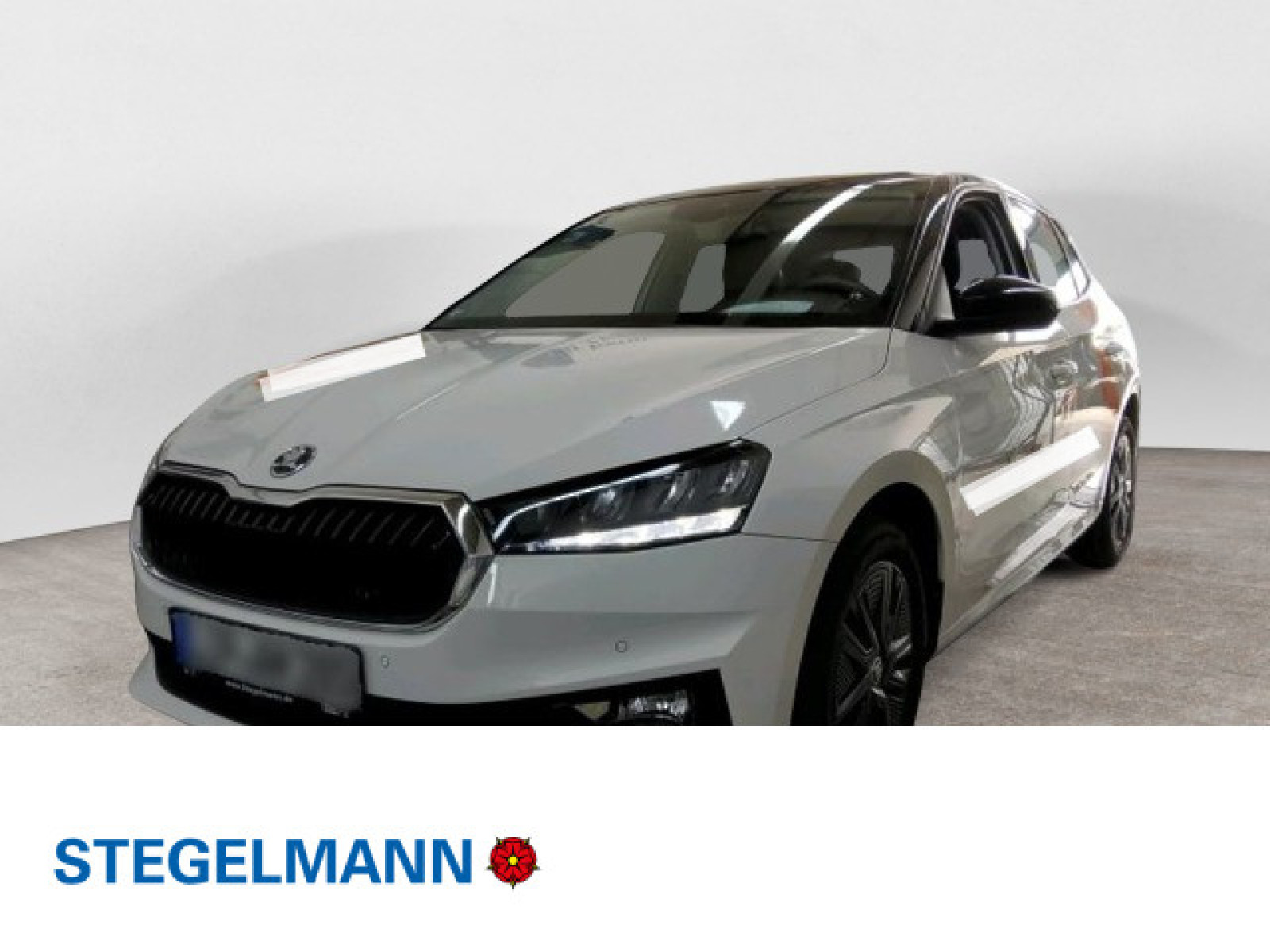 Fahrzeugbild_1
