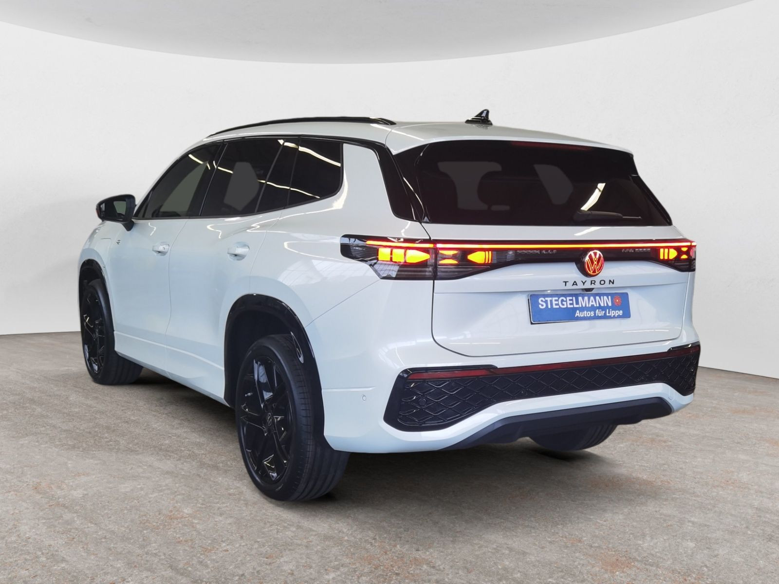 diagonalansicht-hinten-aussen