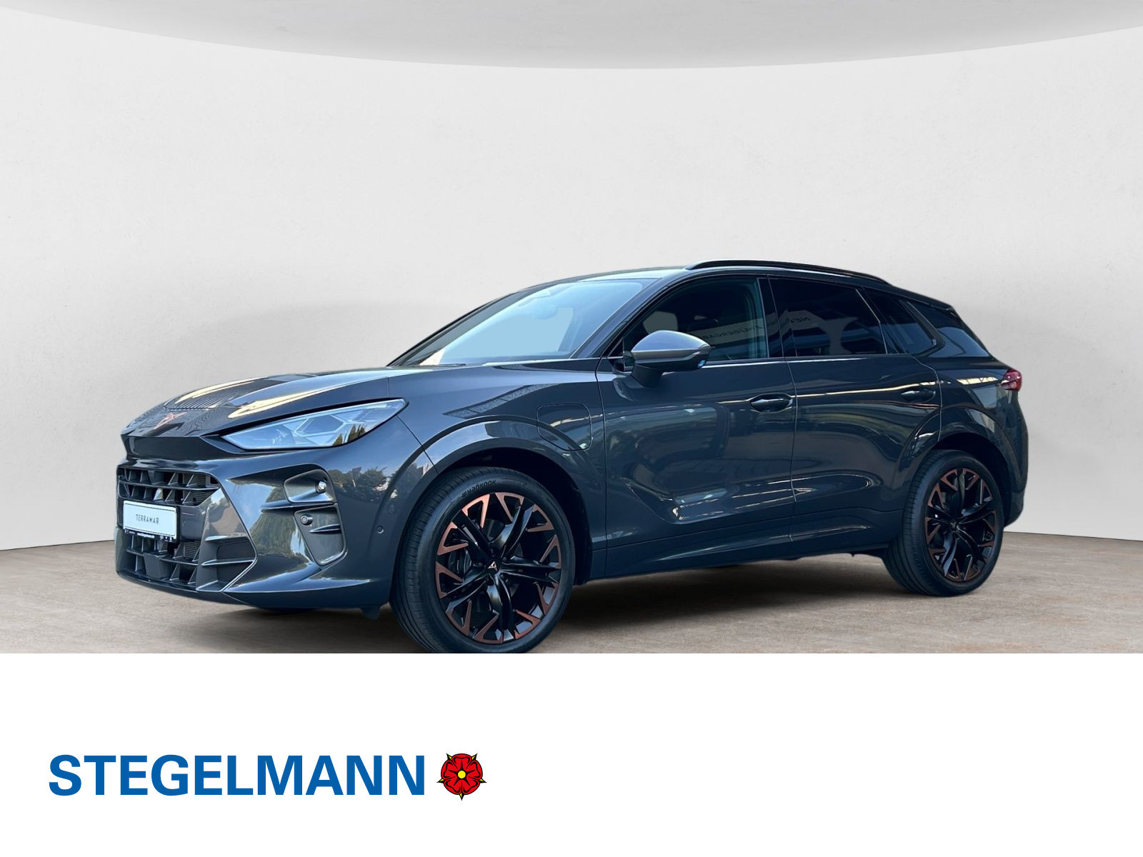 diagonal-frontansicht-aussen