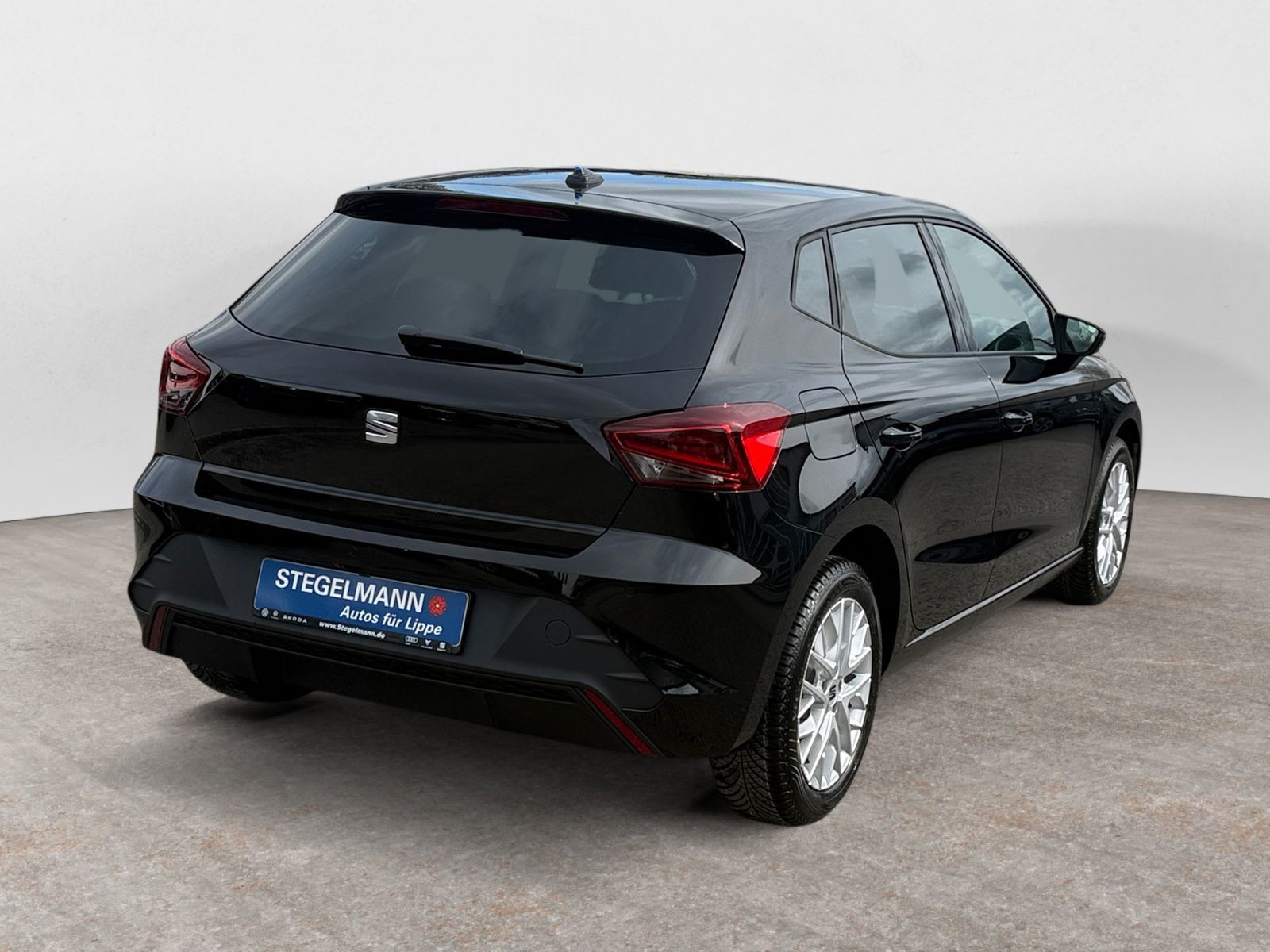 diagonalansicht-hinten-aussen