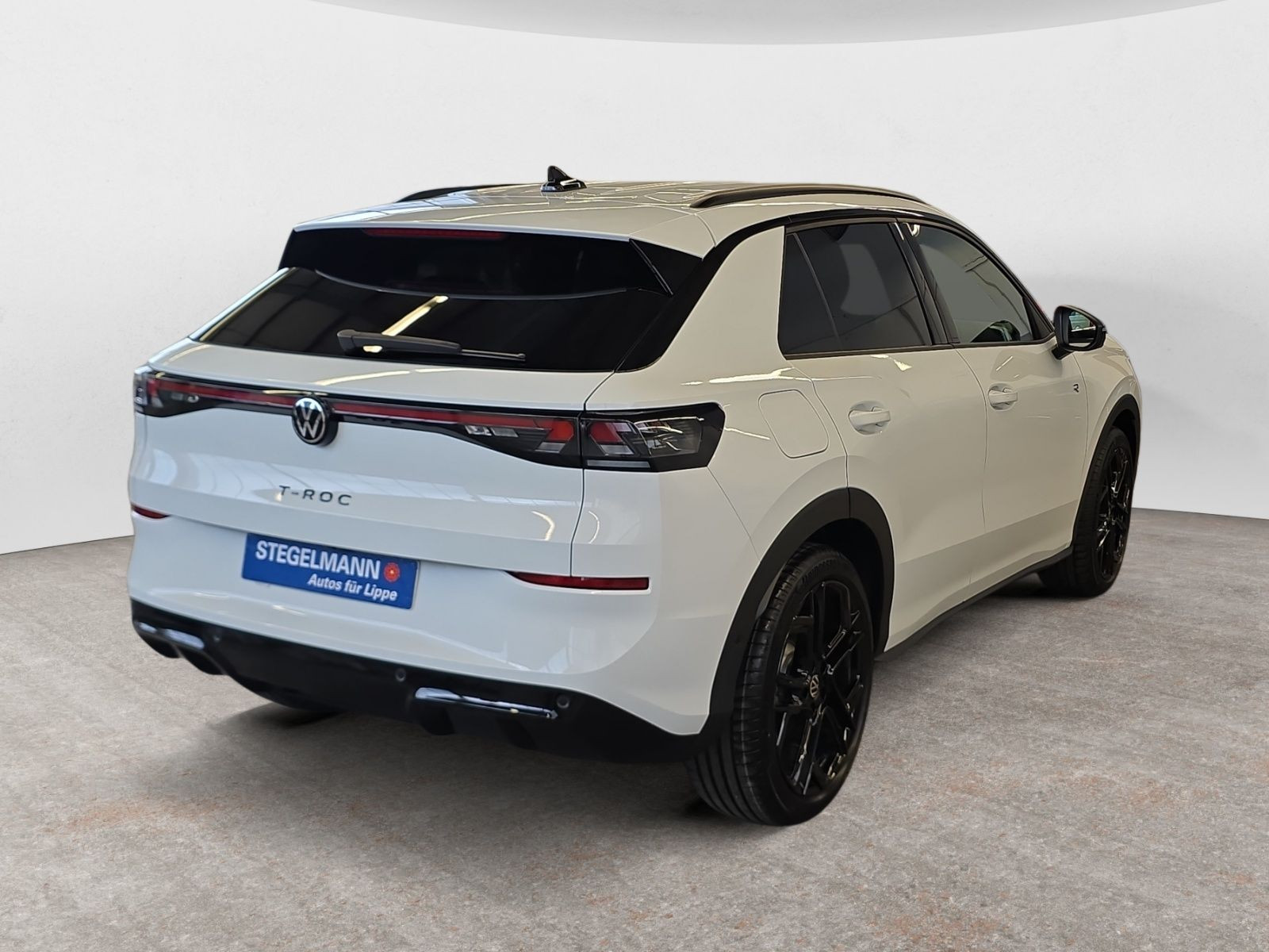 diagonalansicht-hinten-aussen