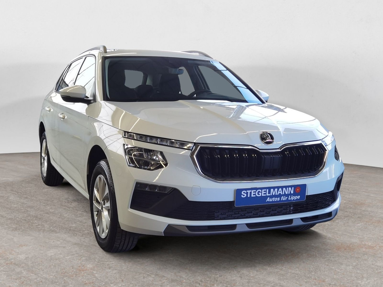 diagonal-frontansicht-aussen