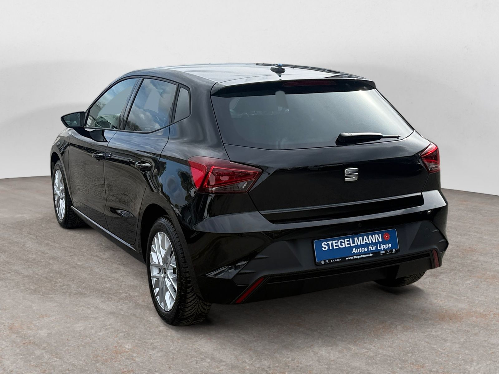 diagonalansicht-hinten-aussen