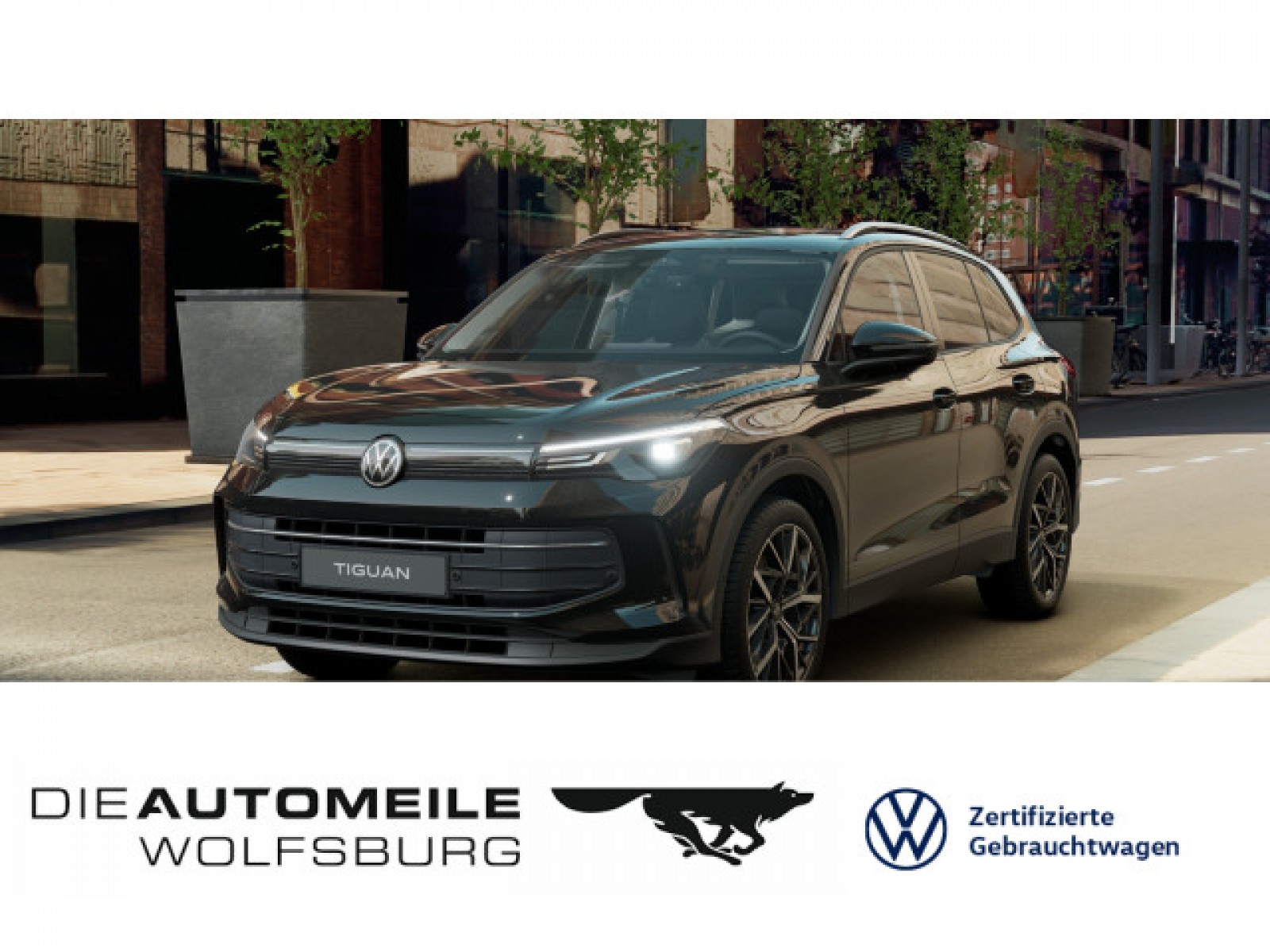 Tiguan 2.0 TDI DSG Life Standhzg/AHK/ACC