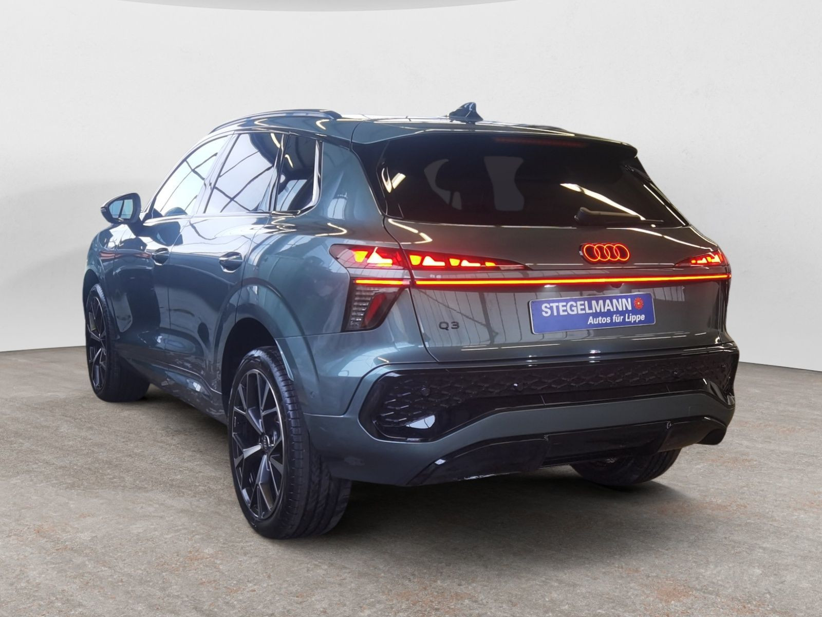 diagonalansicht-hinten-aussen