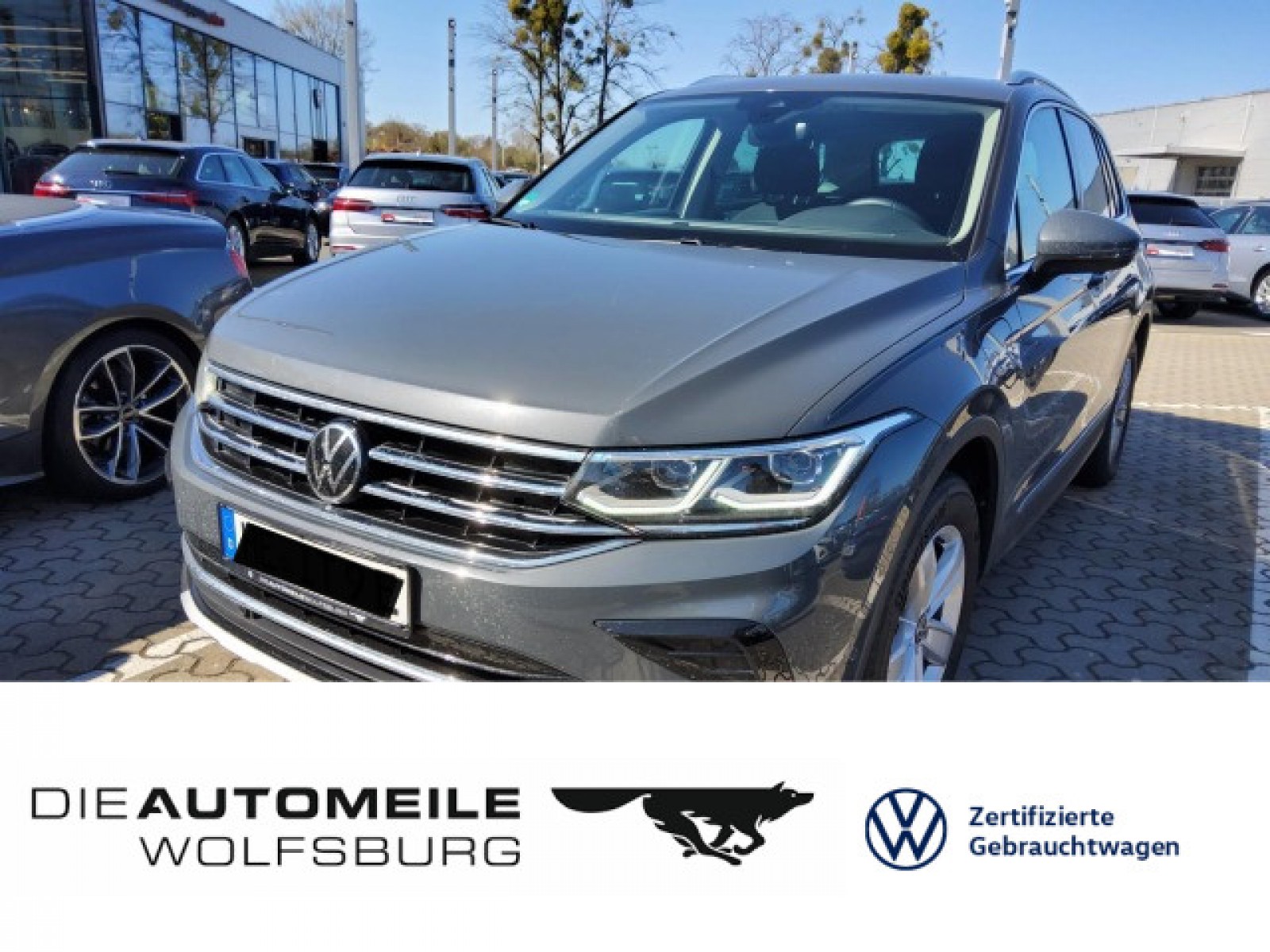 Tiguan 1.4 TSI e Hybrid Elegance ACC/Pano/Multilenk