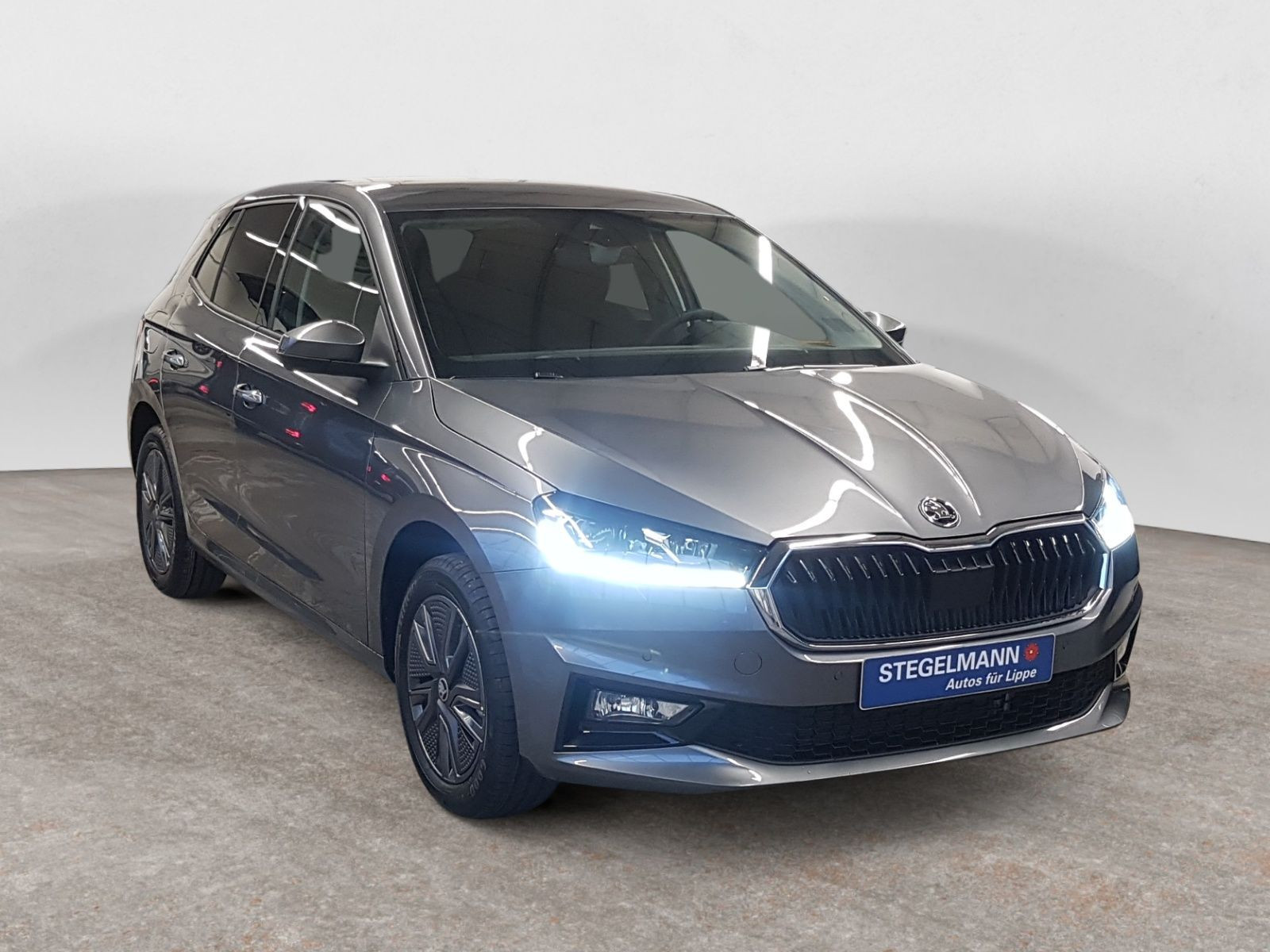 diagonal-frontansicht-aussen