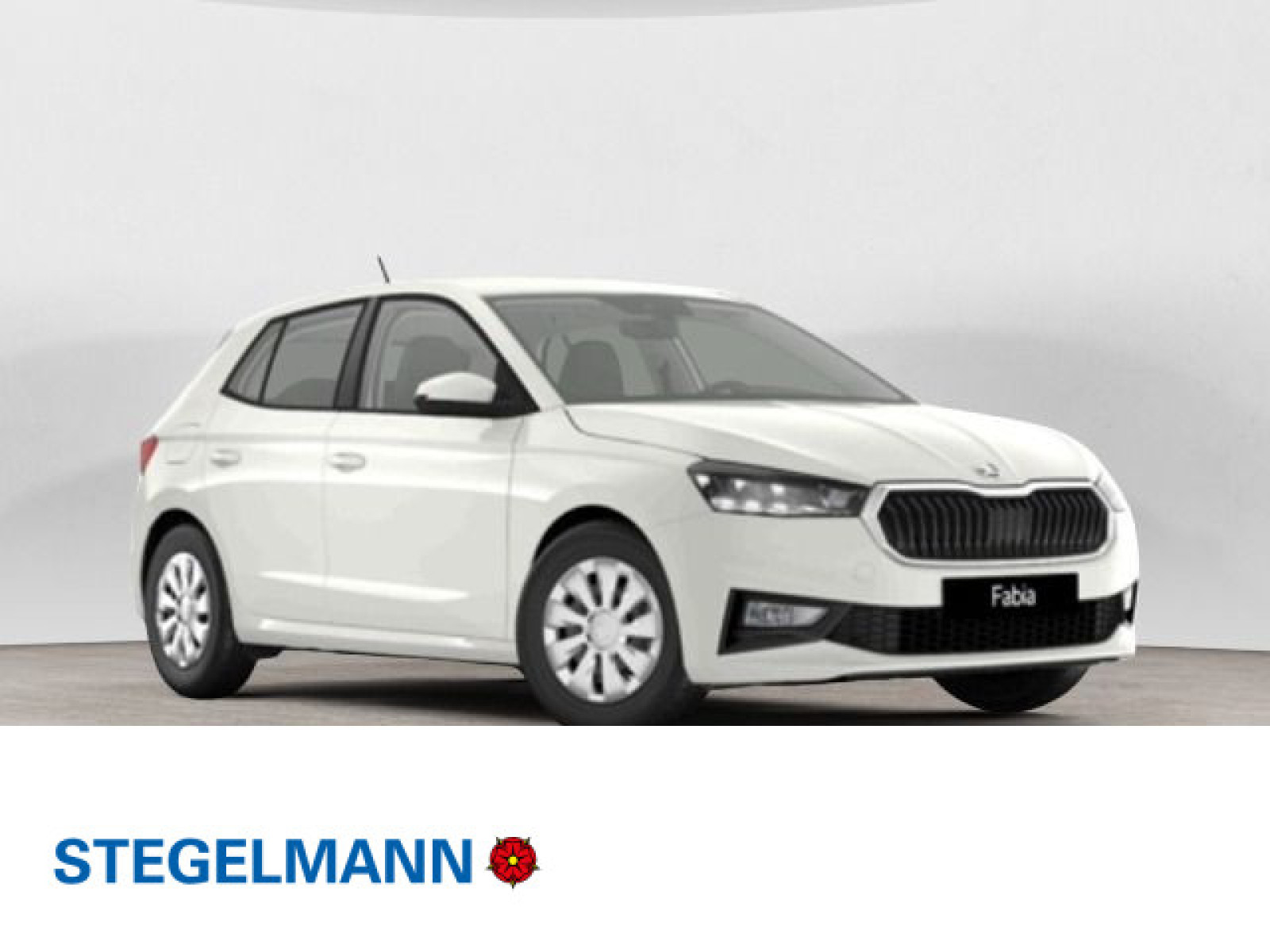 diagonal-frontansicht-aussen